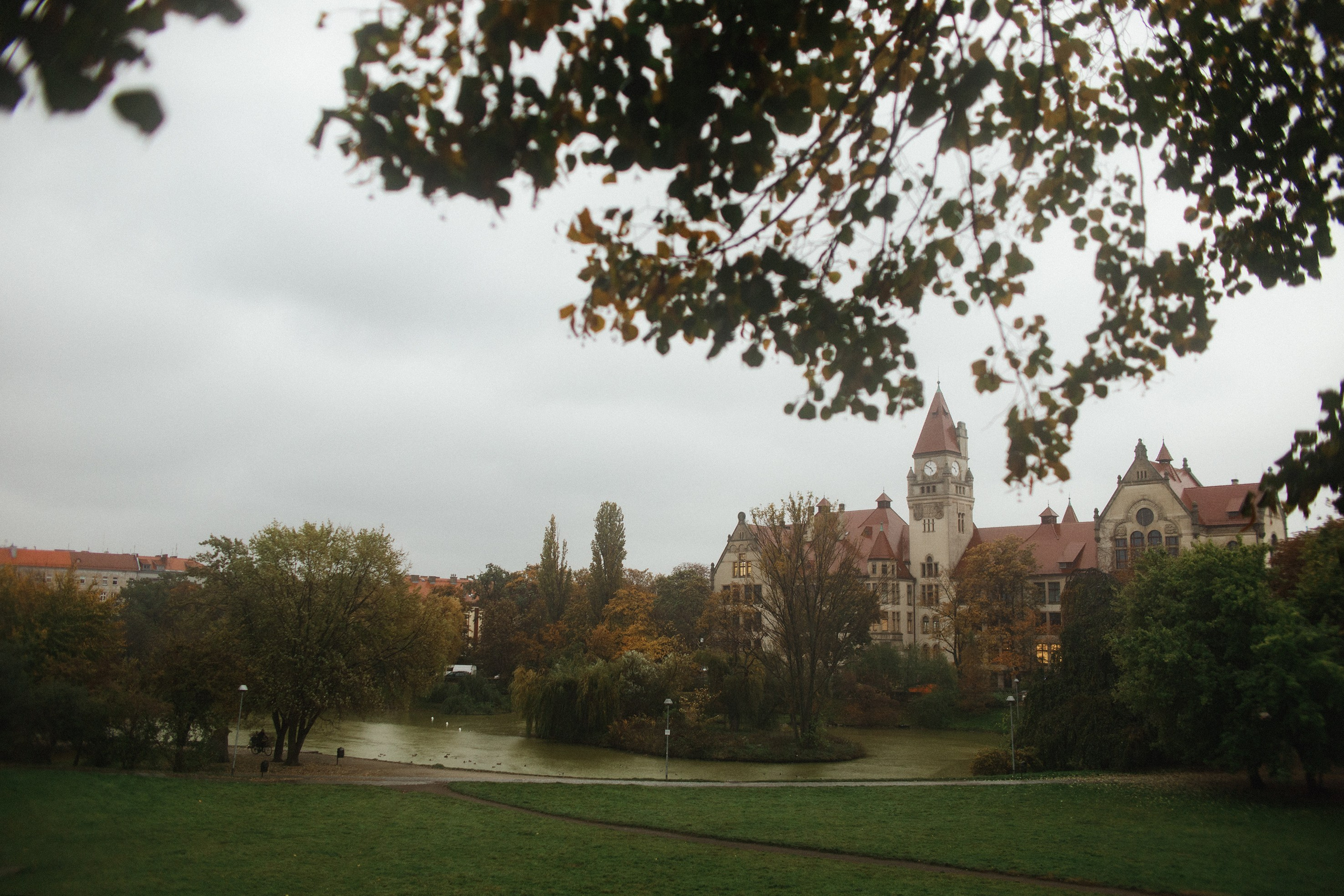 Nastya. Kaja | fotograf psów we Wrocławiu