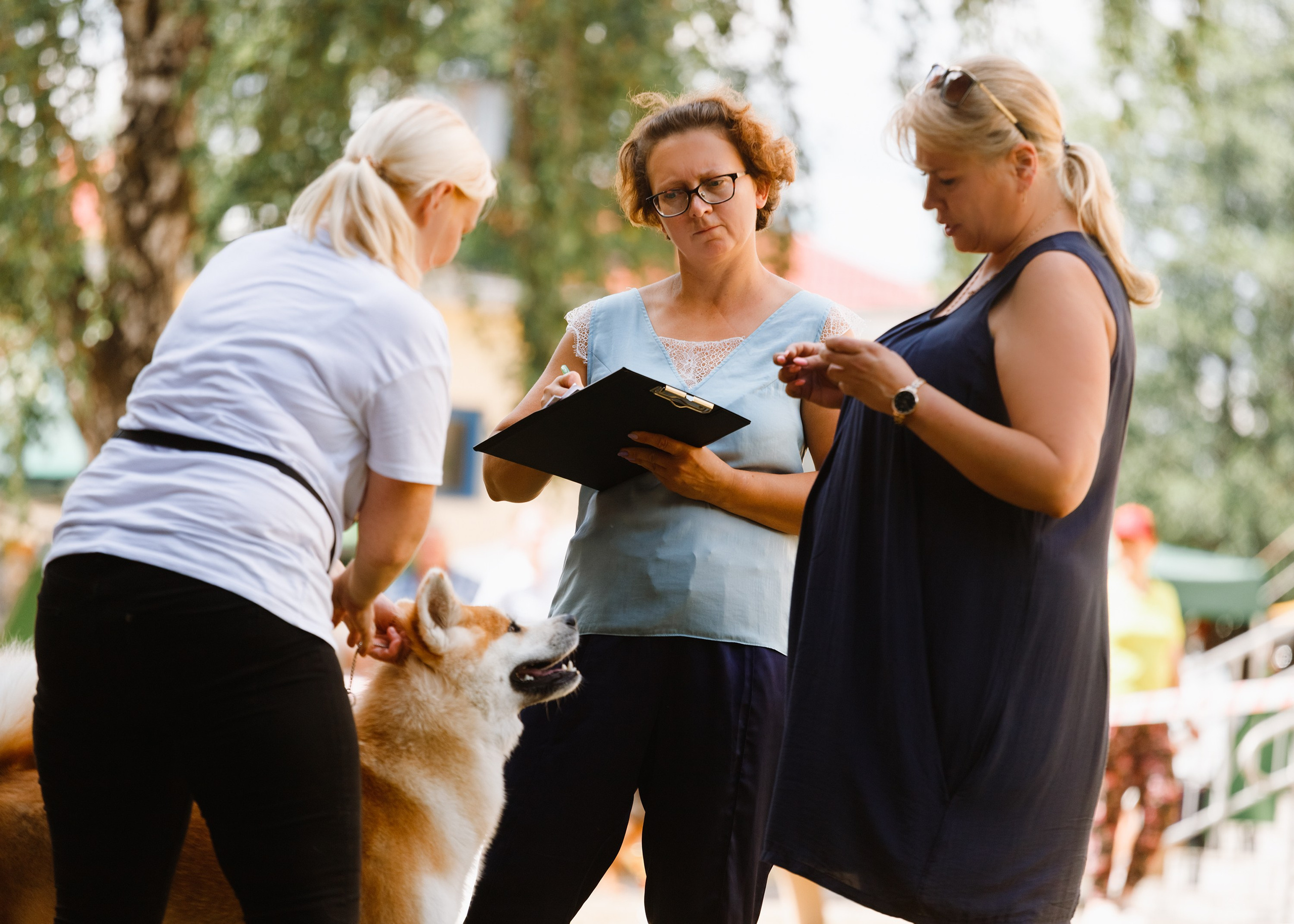 «Argus» dog show in Brest. Kaja | fotograf we Wrocławiu | ludzie i psy