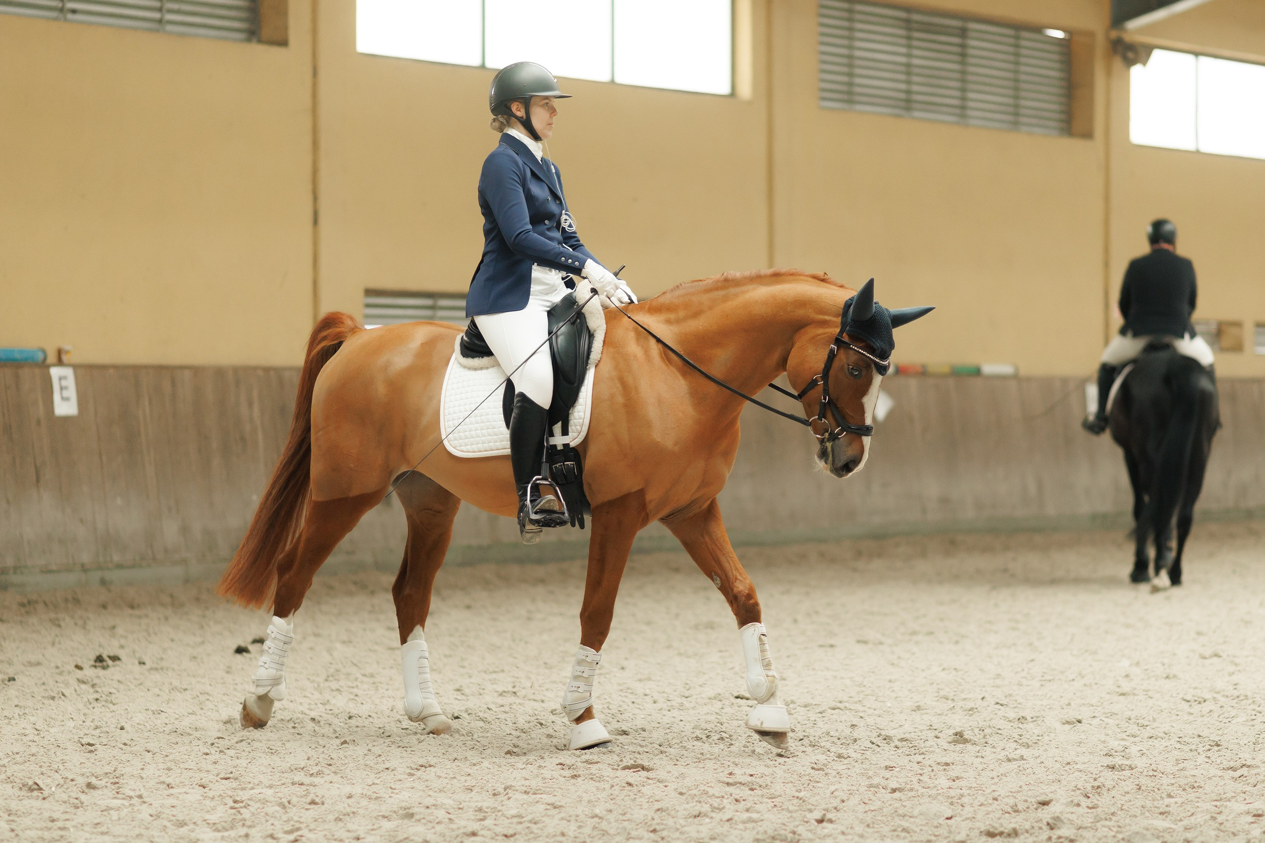 Partynice dressage \ feb'25. Kaja | fotograf we Wrocławiu | ludzie i psy