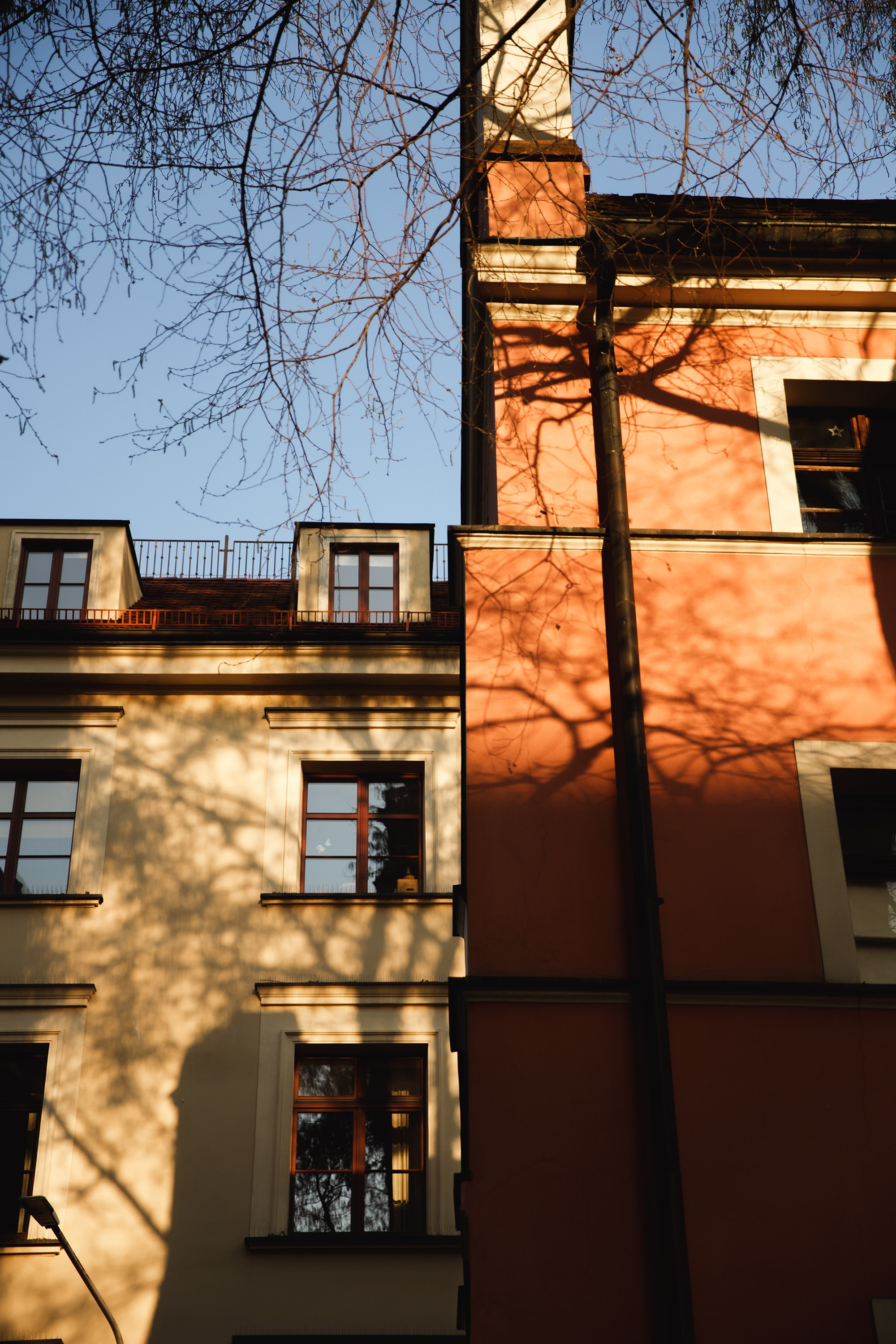 Wroclaw | the best ones. Kaja | fotograf psów we Wrocławiu