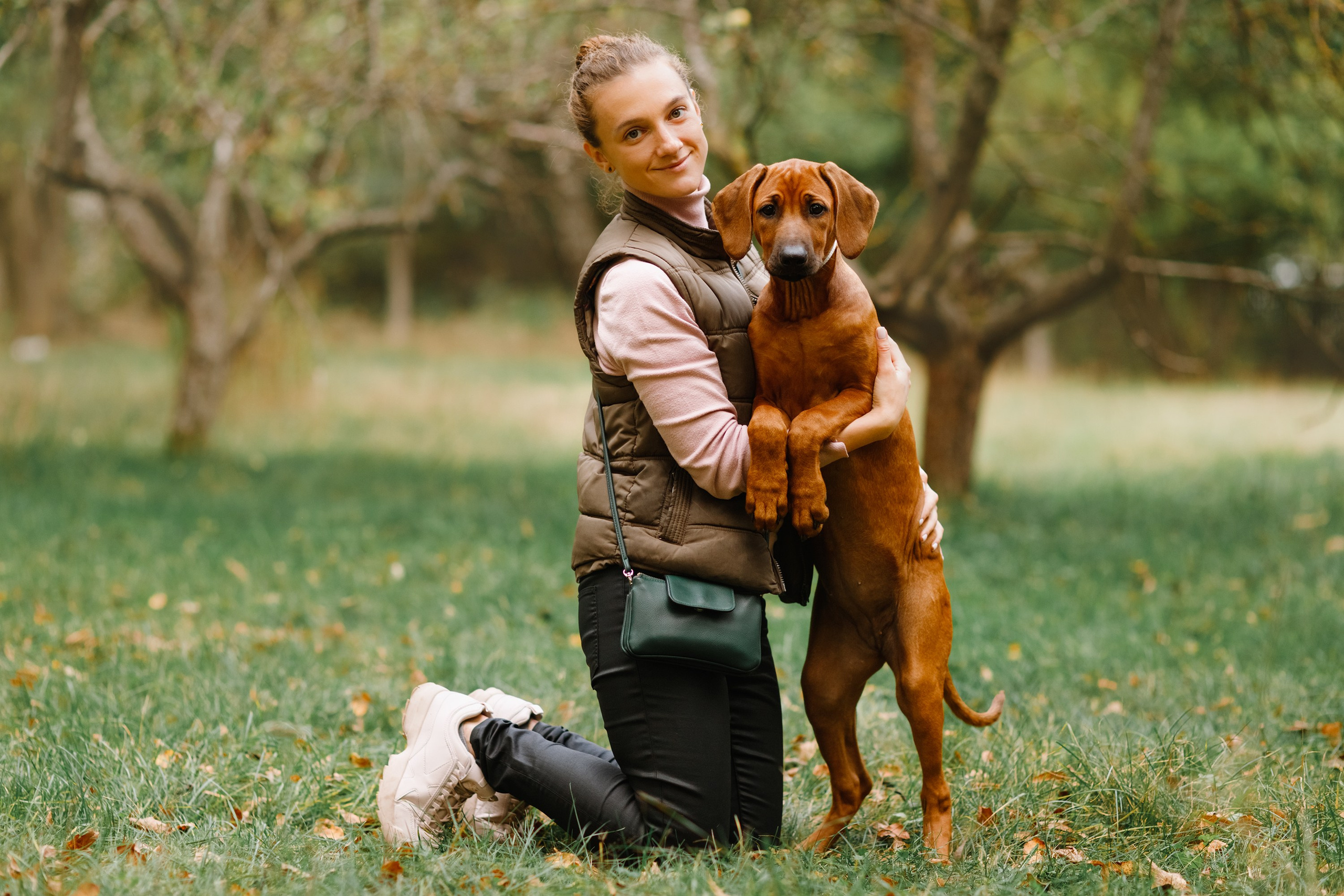 Dog shows | the best ones. Kaja | fotograf psów we Wrocławiu