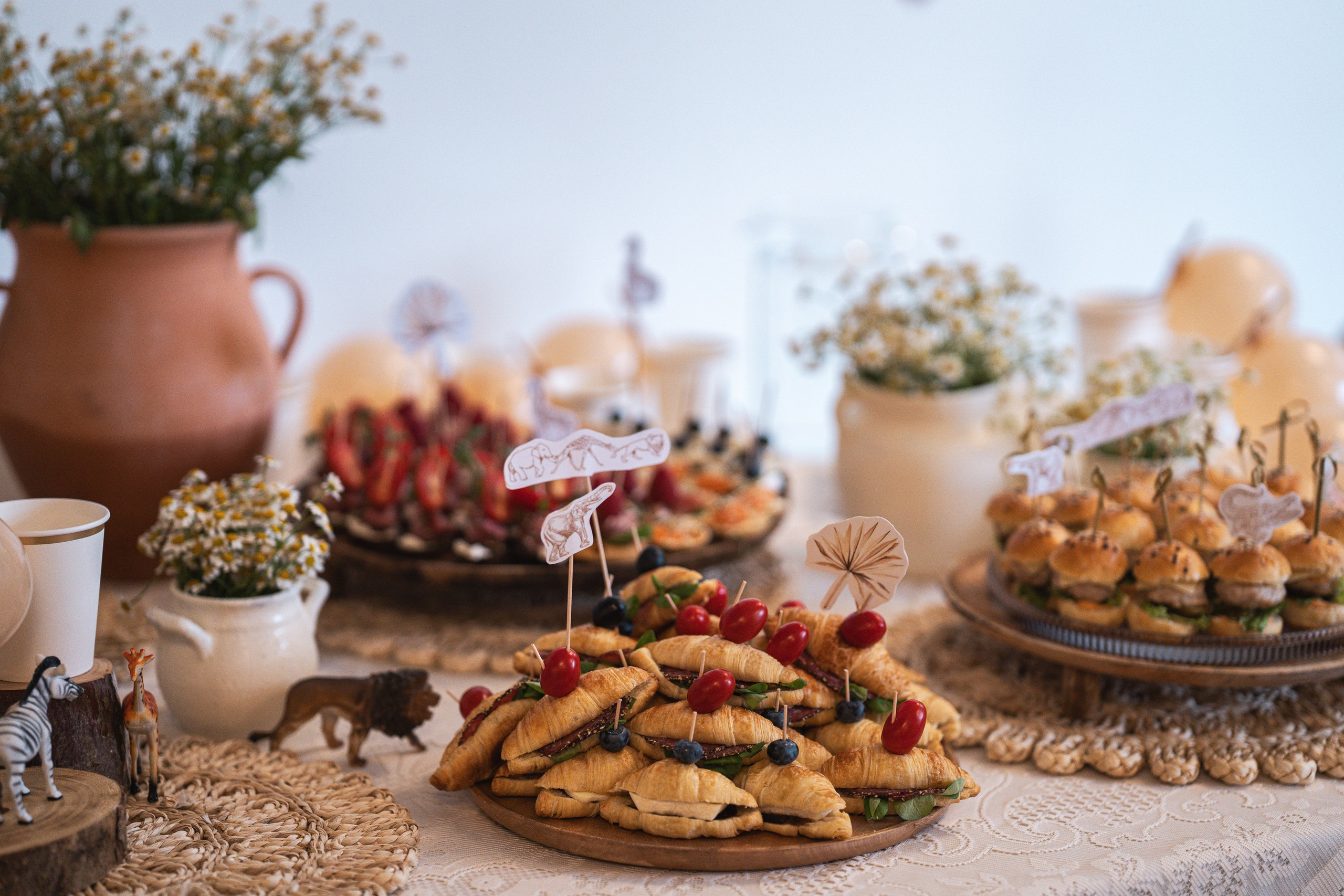 Domo krikštas. Lina Labanauskienė Photography