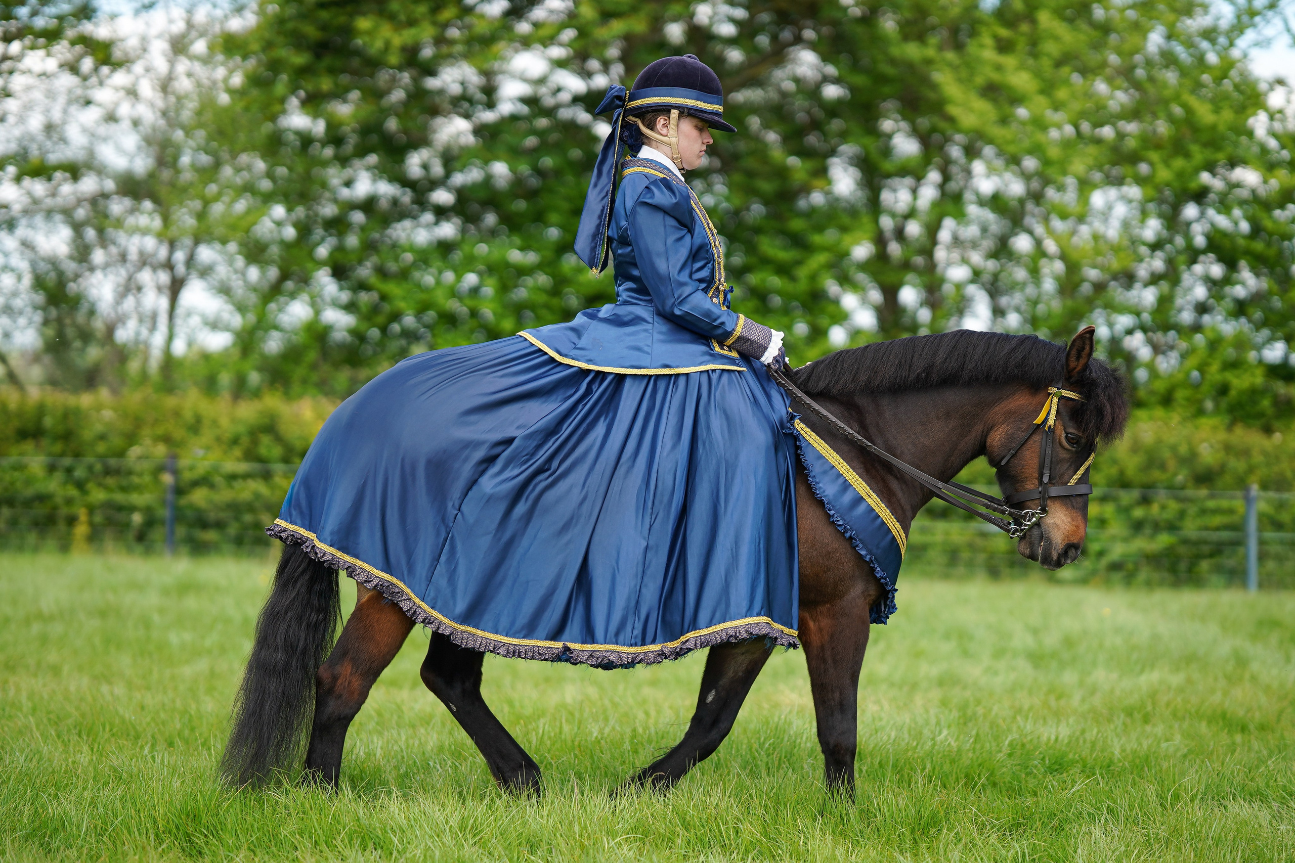 Showing. Leicestershire Equine Photography by El | Authentic Equine Portraits & Events