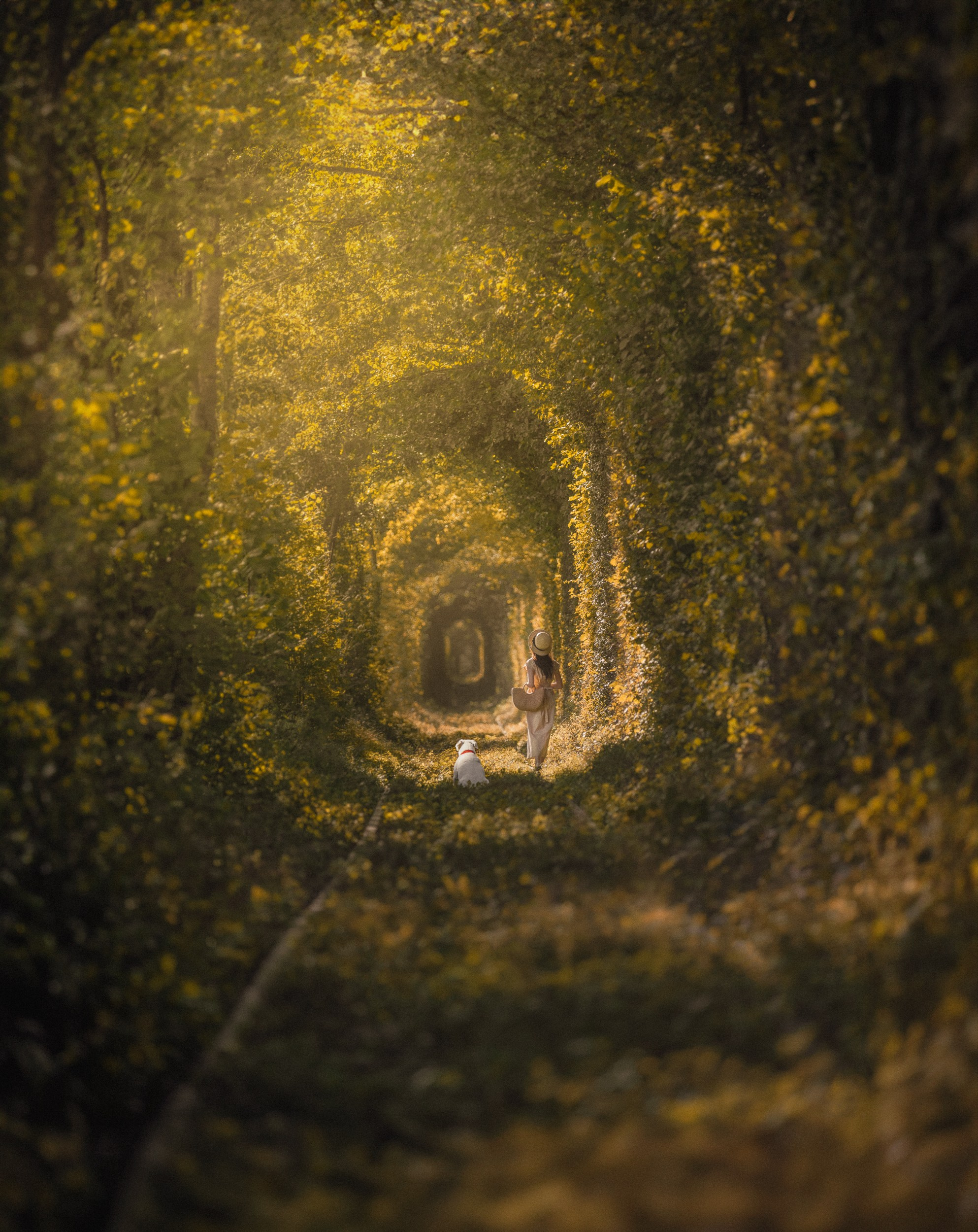 A photo of above tunnel in Ukraine with a girl and a dog 