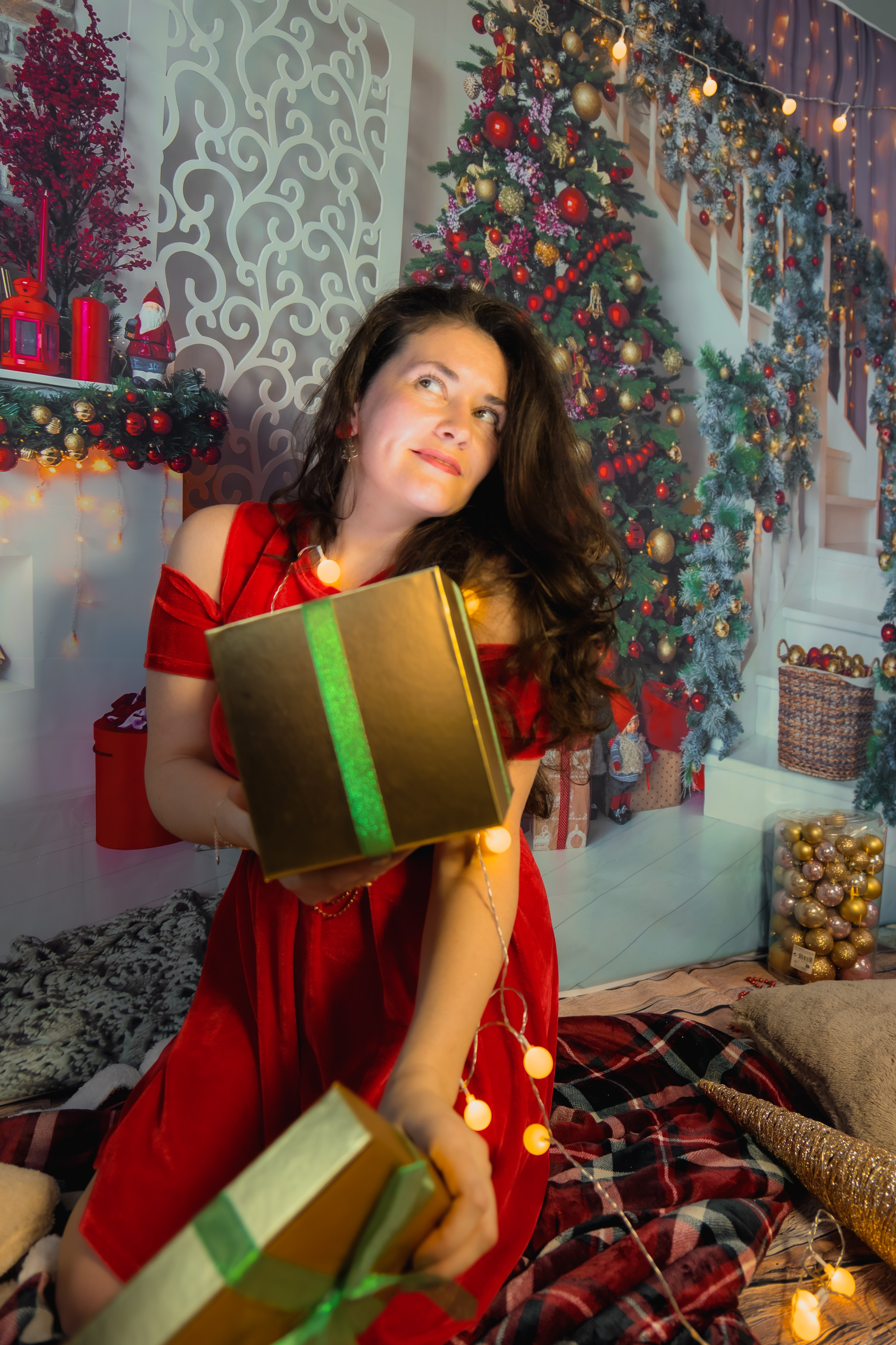 Christmas. Fotograful și Cameramanul familiei dvs în Franța Paul Photographer