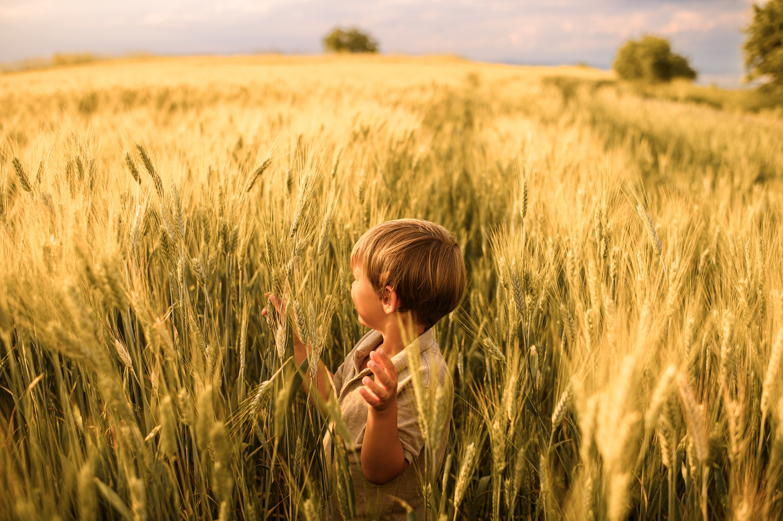 Wheat fields. Семейная, детская, портретная и предметная фотосъемка в Салониках