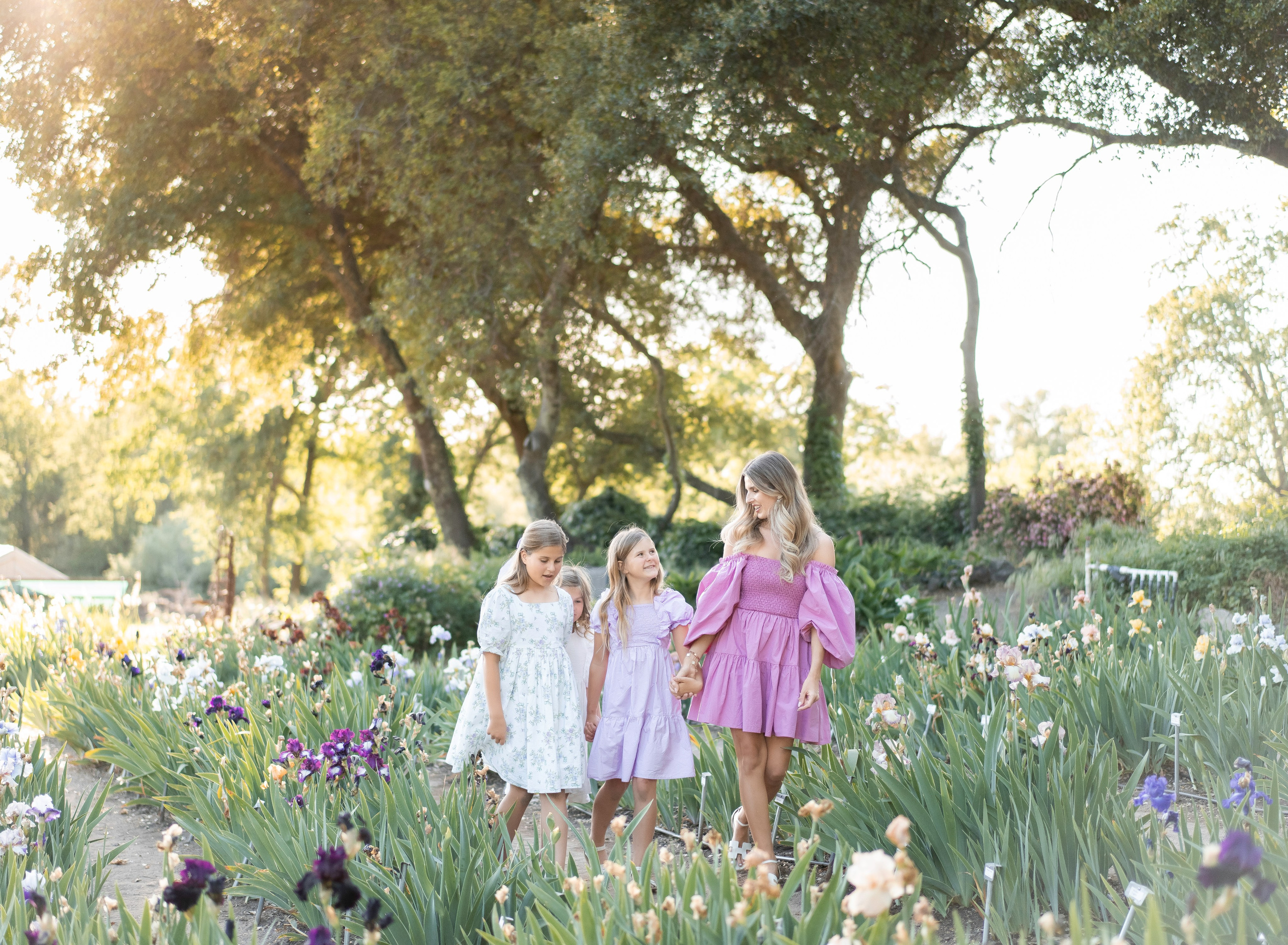 Beshta family. Family photographer in Sacramento | Sofia Pavenko