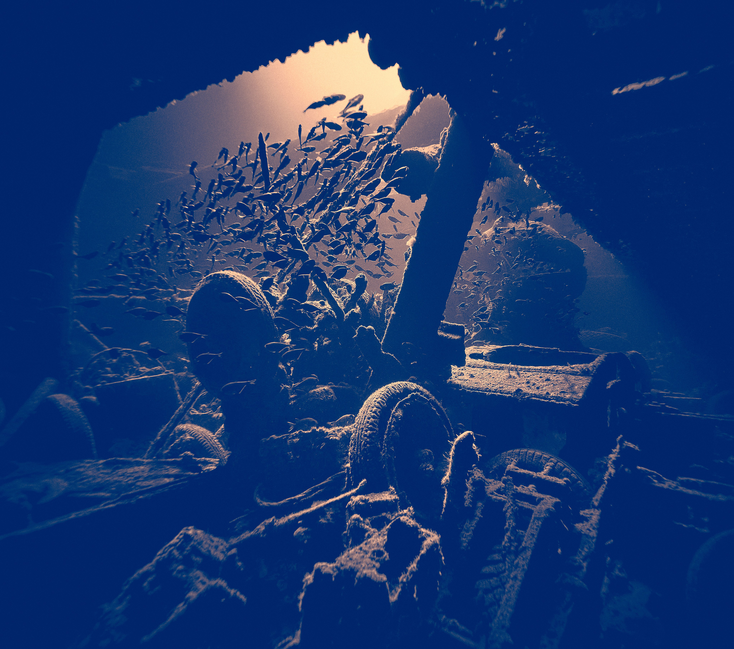 Podwodny fotograf - Andriej Szypiłow - zdjęcia wraków. Andriej Szypilow - Fotografia & Wideografia