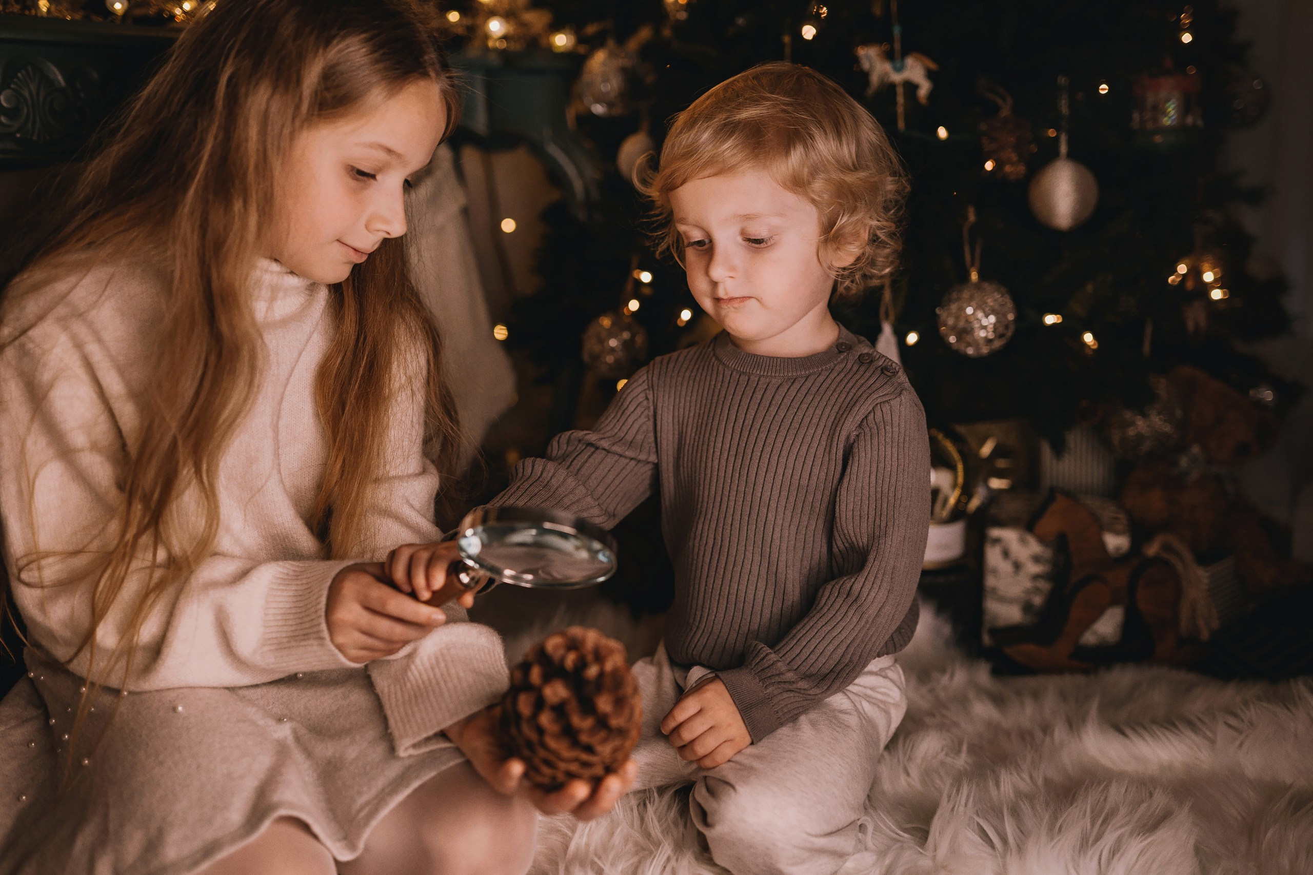 11.15.2025 Christmas Photoshoot. Wedding family event photographer in Chicago Nick Yushevich