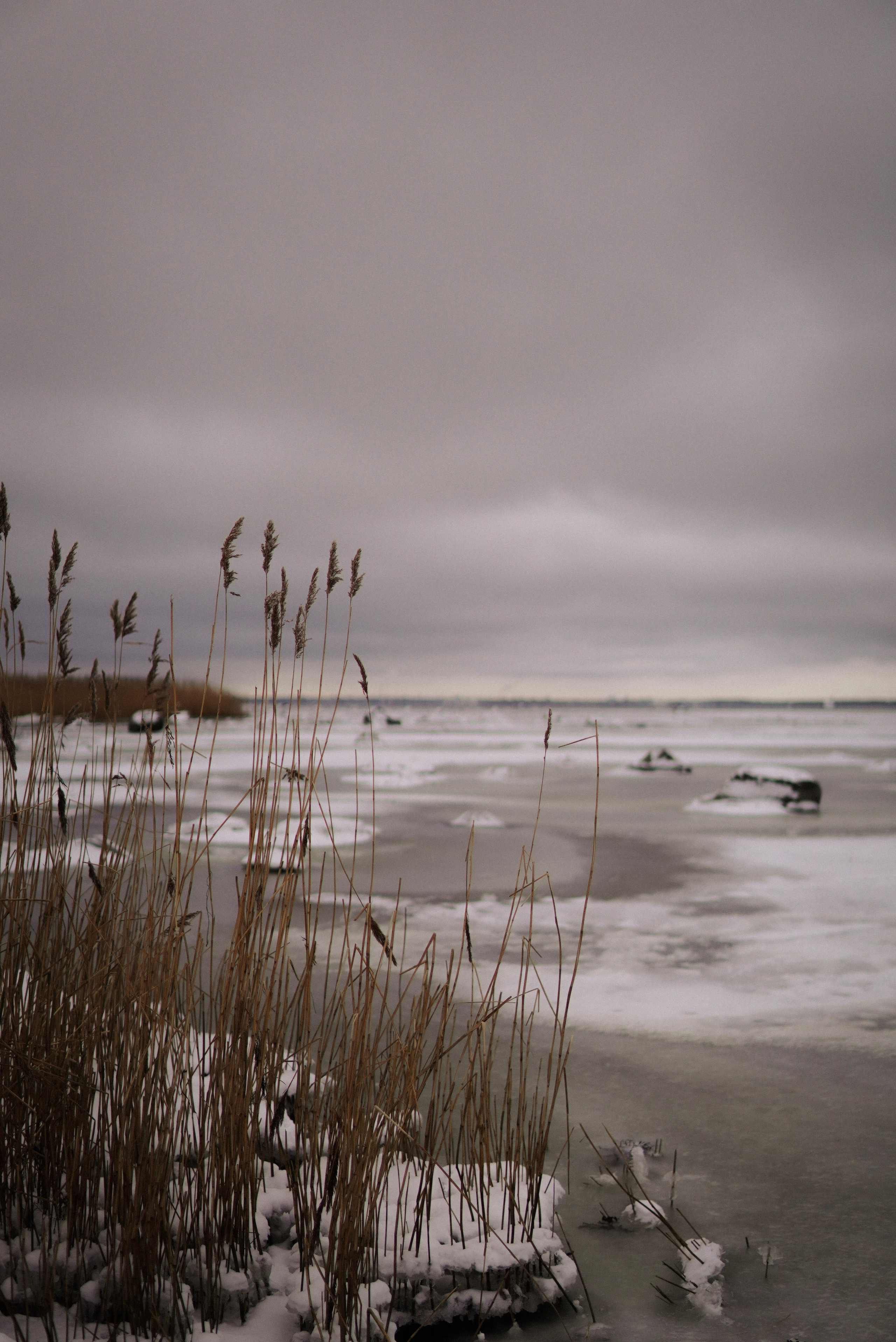 Loodus, meri, tunned. Meeste ja naiste fotograaf Tallinnas Anna Sipari