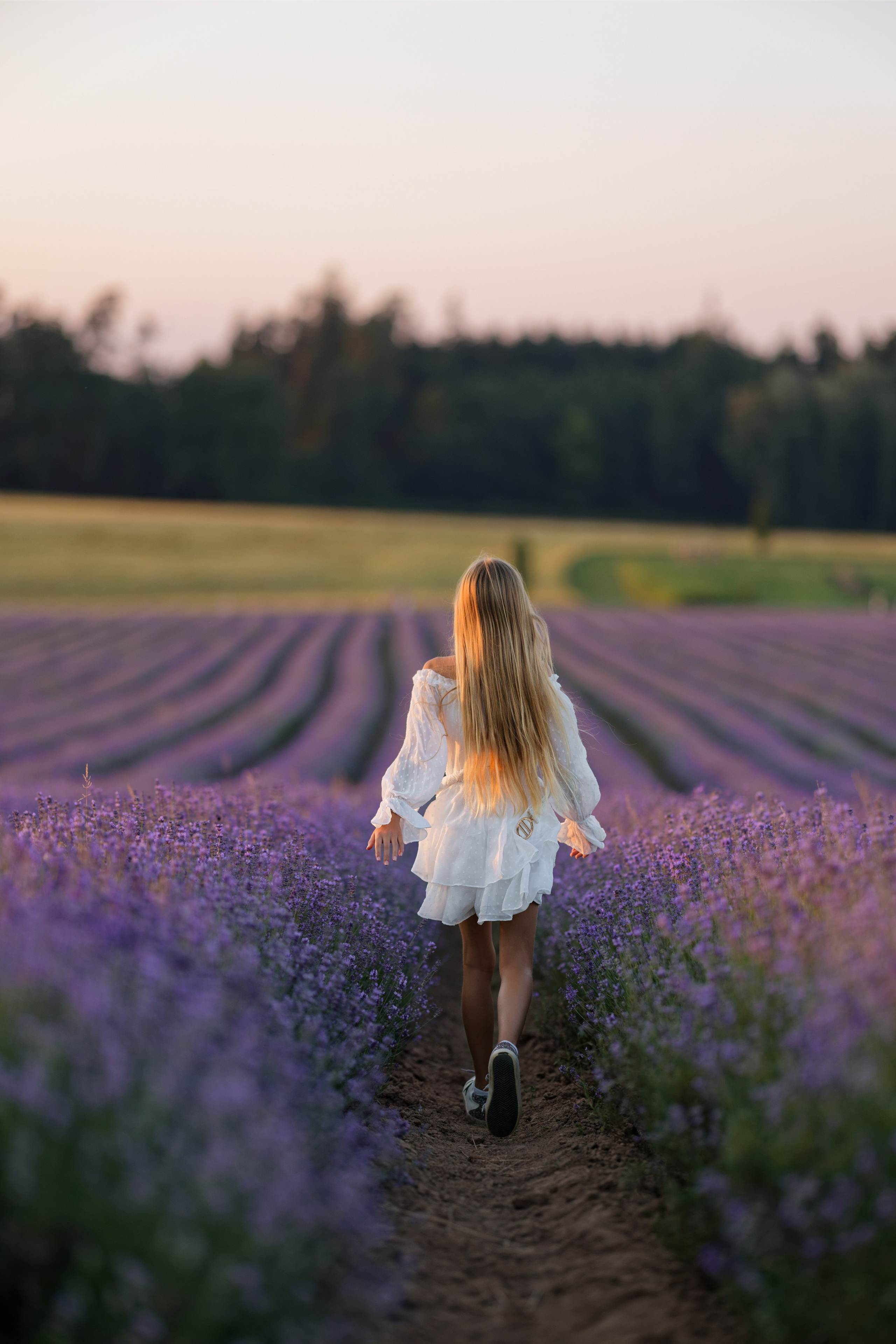 Lavander fild. ADELINA. Wedding and reportage photographer in Munich, Regensburg, Bavaria & all across Germany — LORAN Media