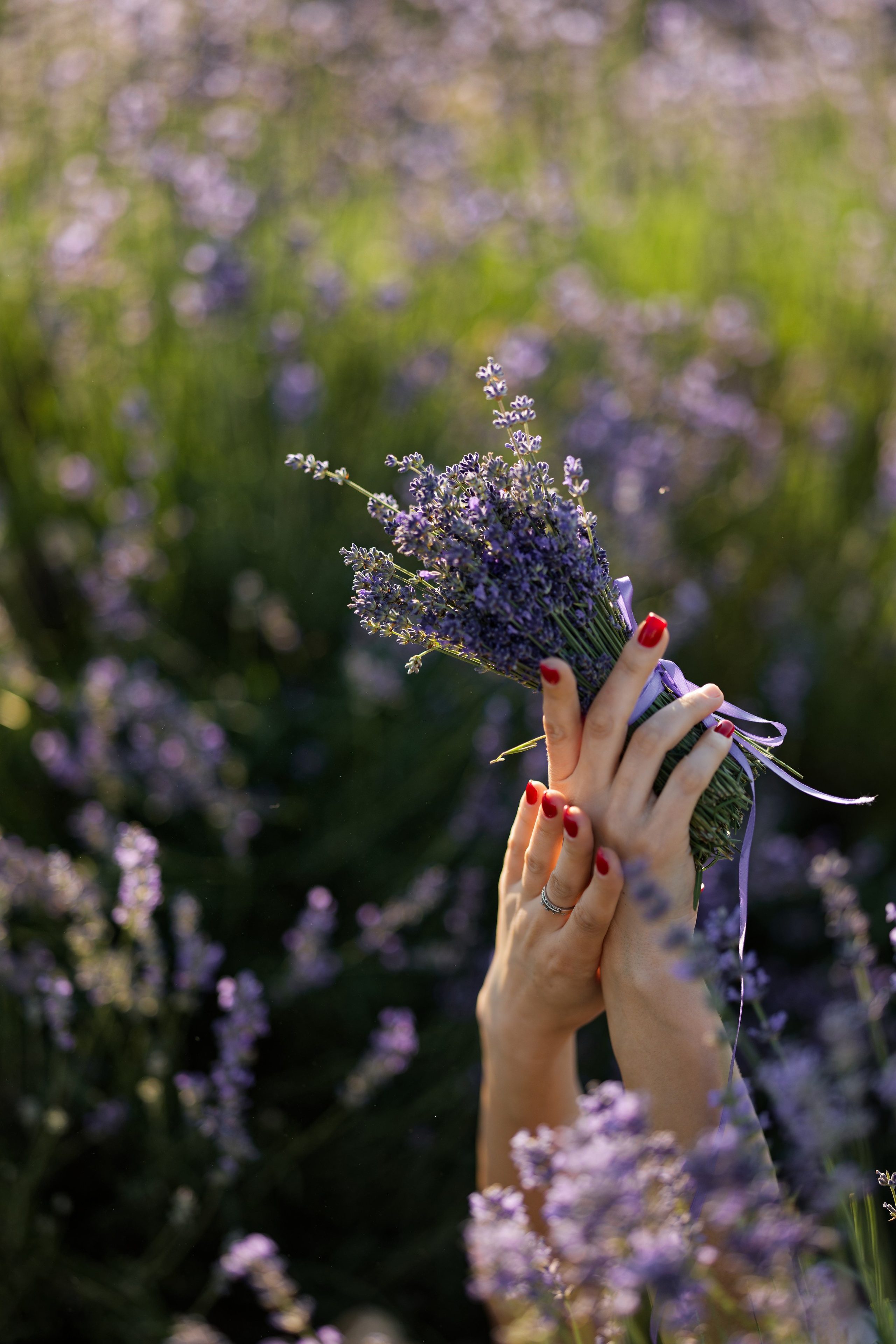 Lavander fild. Wedding and reportage photographer in Munich, Regensburg, Bavaria & all across Germany — LORAN Media
