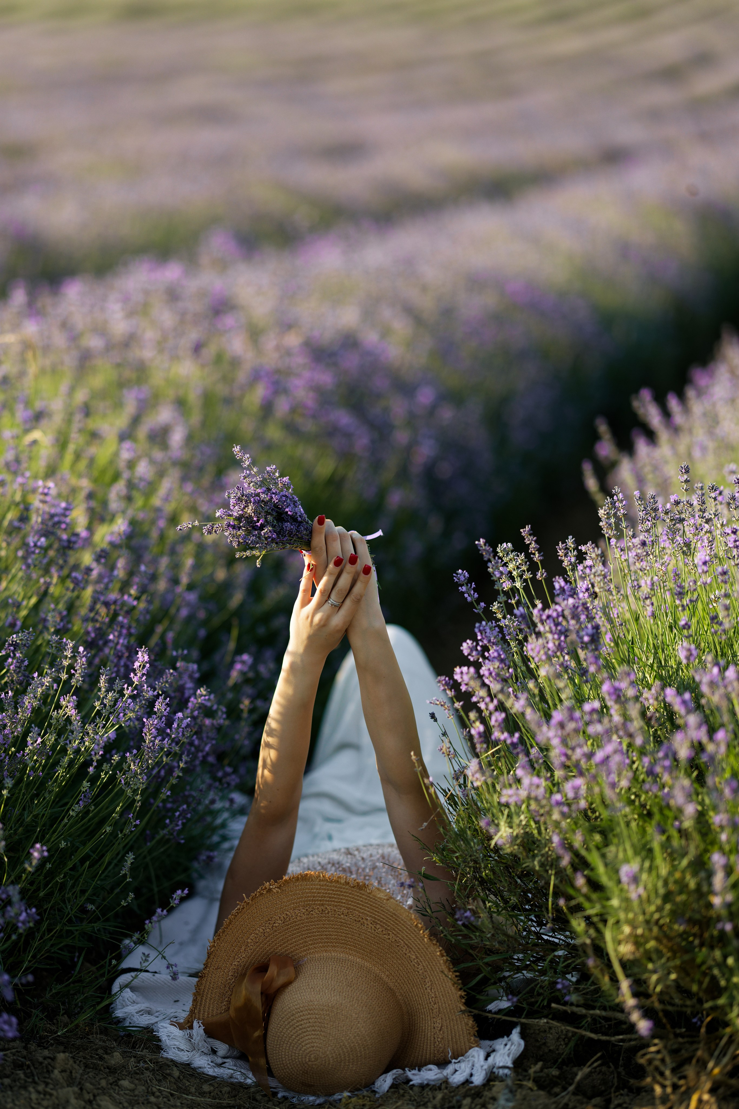 Lavander fild. Wedding and reportage photographer in Munich, Regensburg, Bavaria & all across Germany — LORAN Media