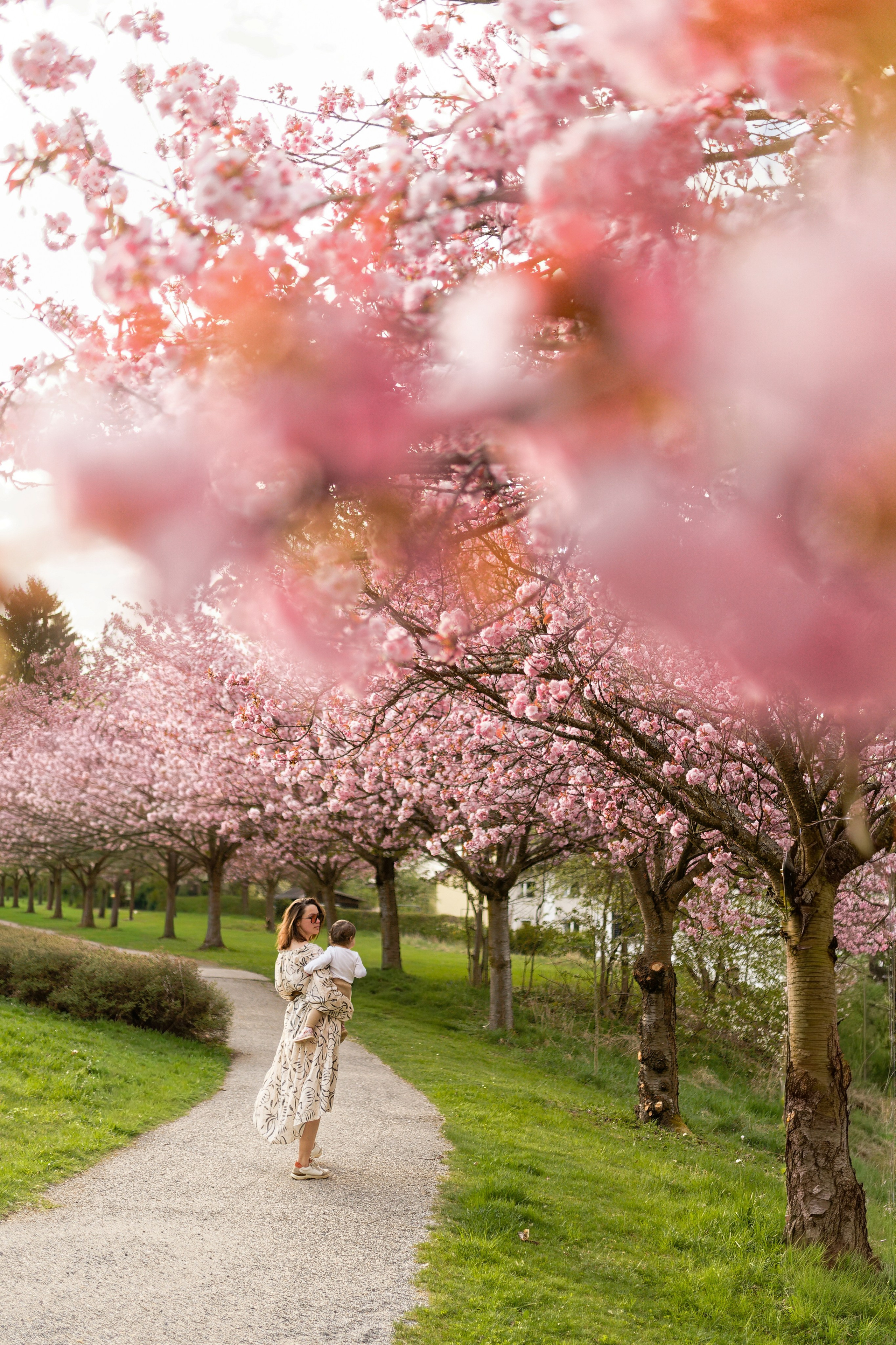 Kirschblüten-Familienshooting. Весільний та репортажний фотограф у Мюнхені, Баваріі та по всій Німеччині – LORAN Media