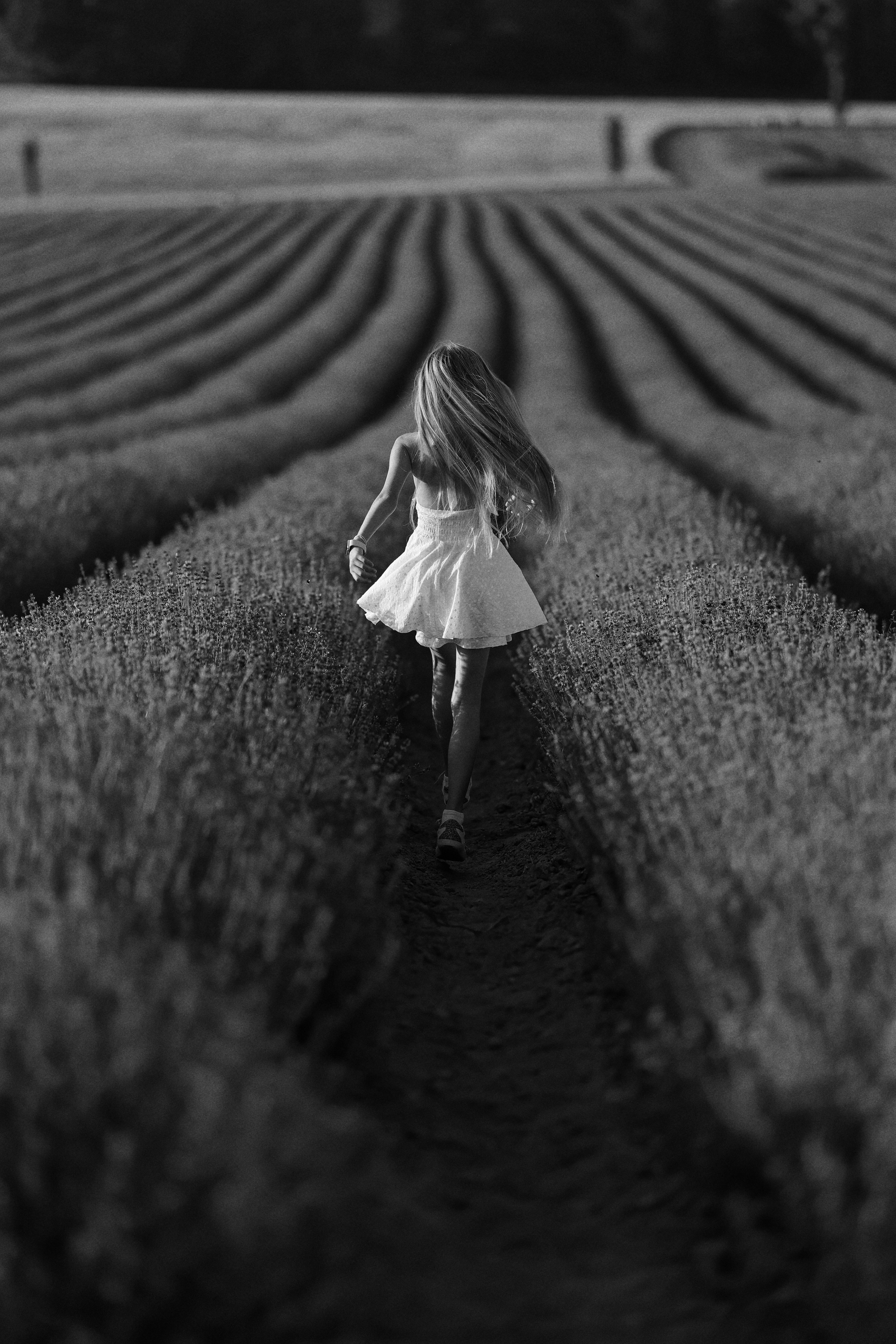 Lavander fild. ADELINA. Wedding and reportage photographer in Munich, Regensburg, Bavaria & all across Germany — LORAN Media
