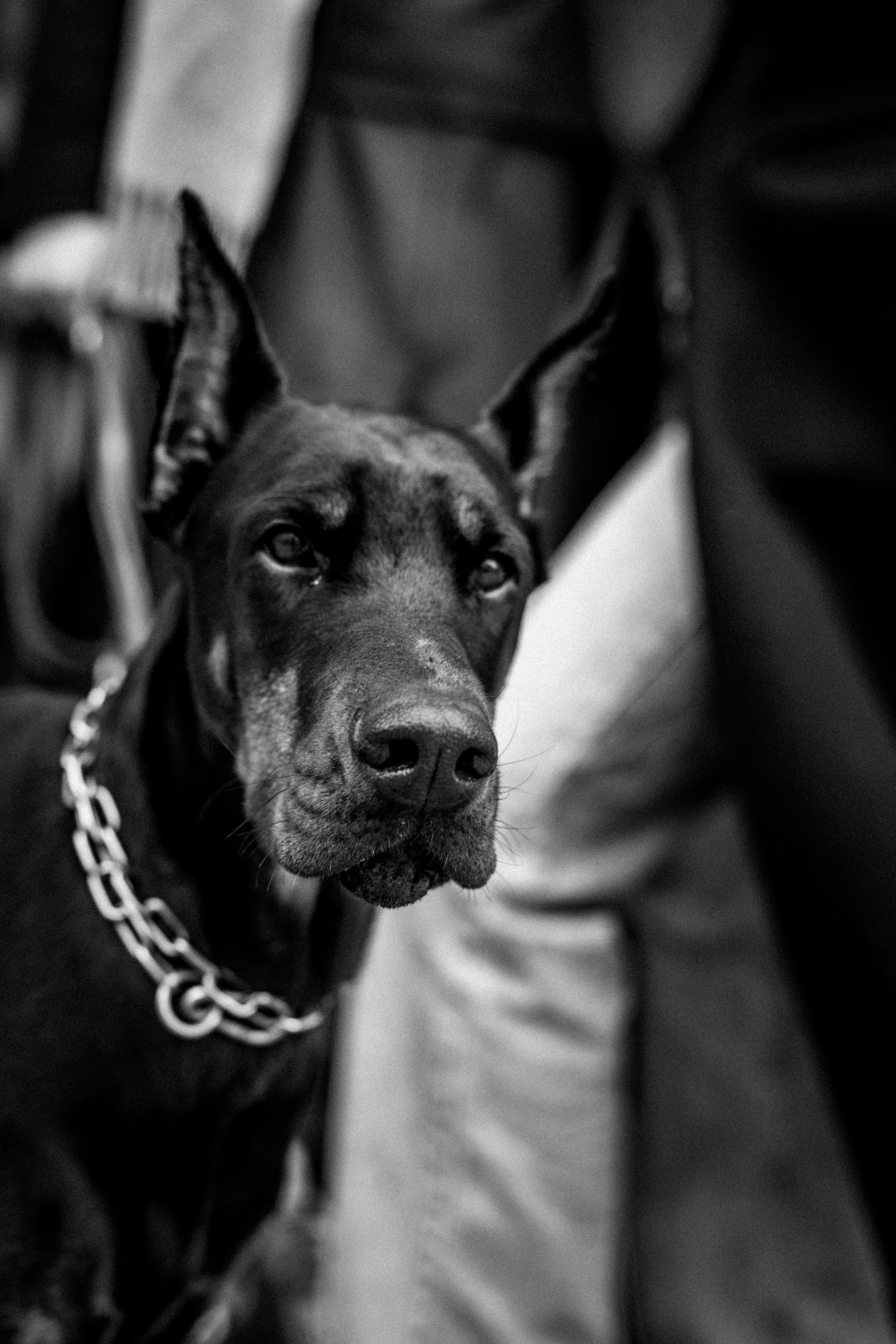 Stas und Lucia. Wedding and reportage photographer in Munich, Regensburg, Bavaria & all across Germany — LORAN Media