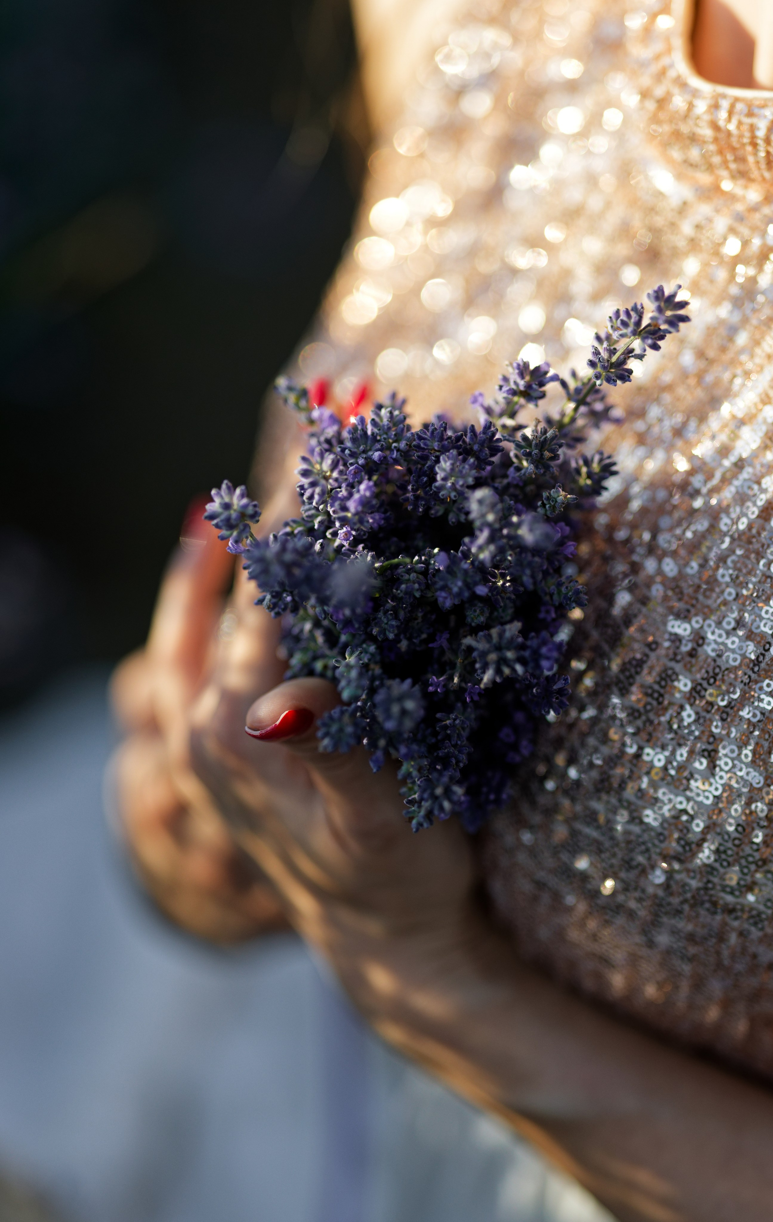Lavander fild. Wedding and reportage photographer in Munich, Regensburg, Bavaria & all across Germany — LORAN Media