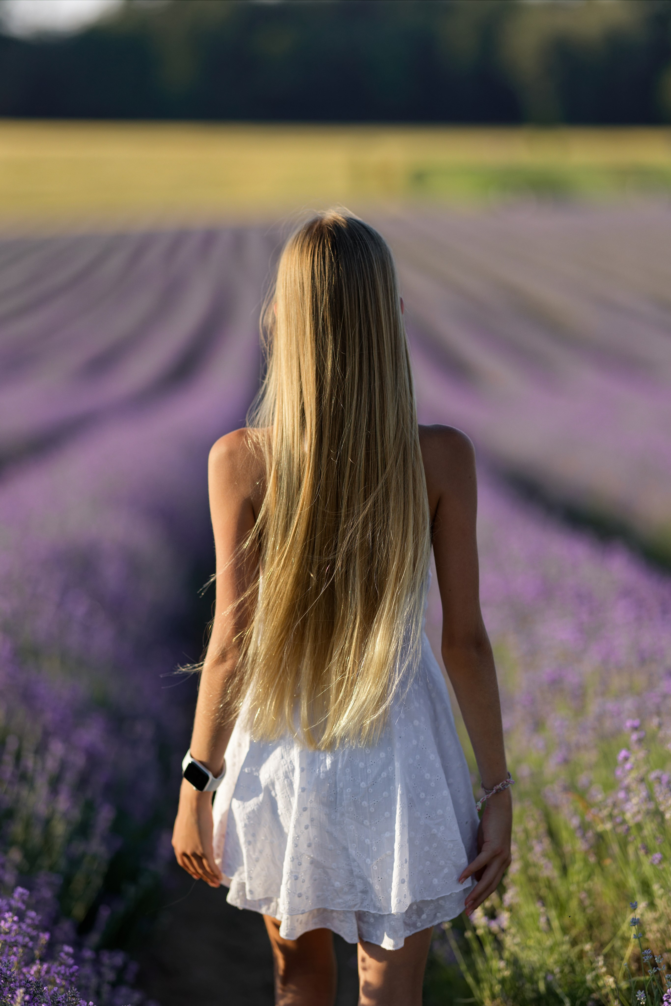 Lavander fild. ADELINA. Wedding and reportage photographer in Munich, Regensburg, Bavaria & all across Germany — LORAN Media