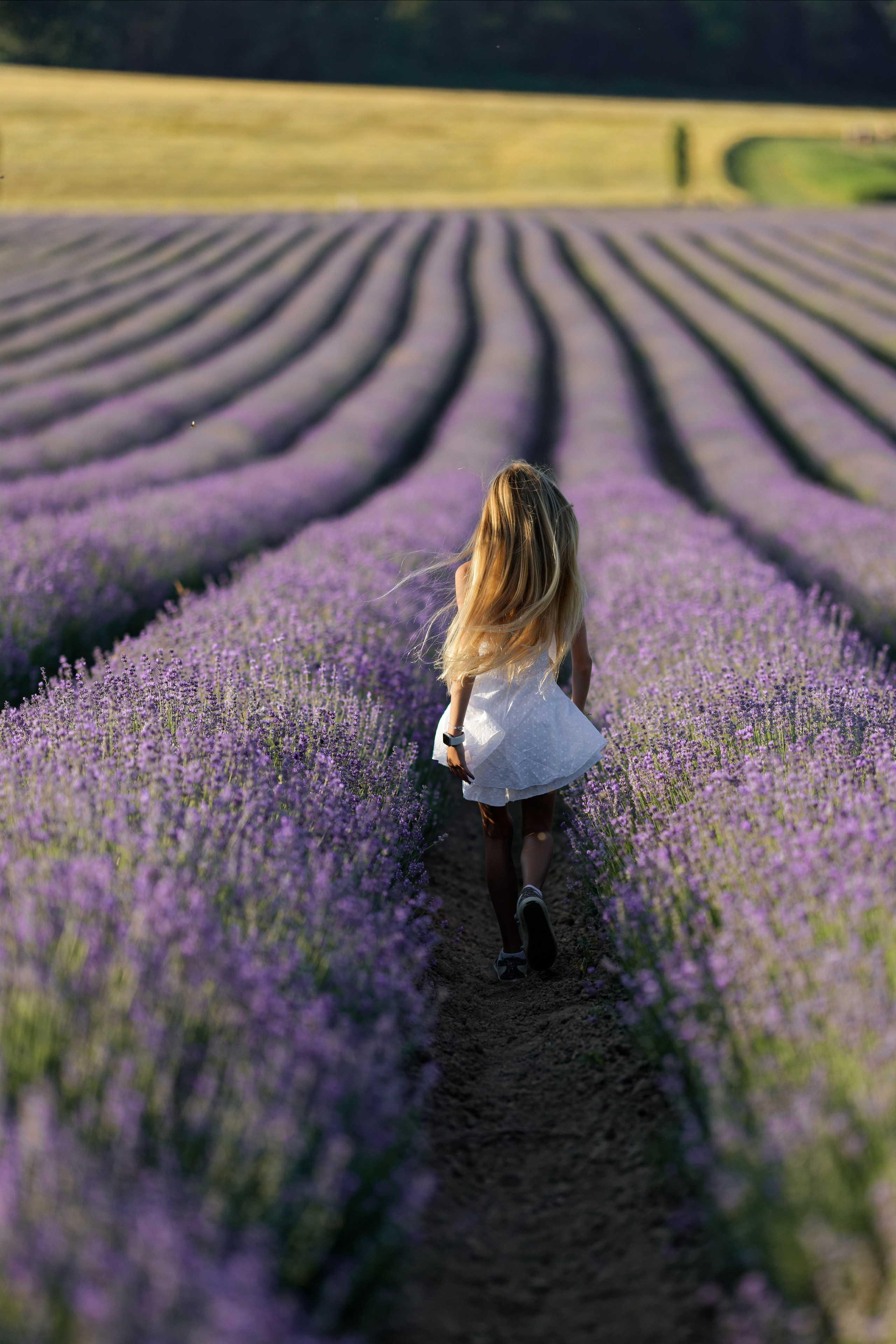 Lavander fild. ADELINA. Wedding and reportage photographer in Munich, Regensburg, Bavaria & all across Germany — LORAN Media