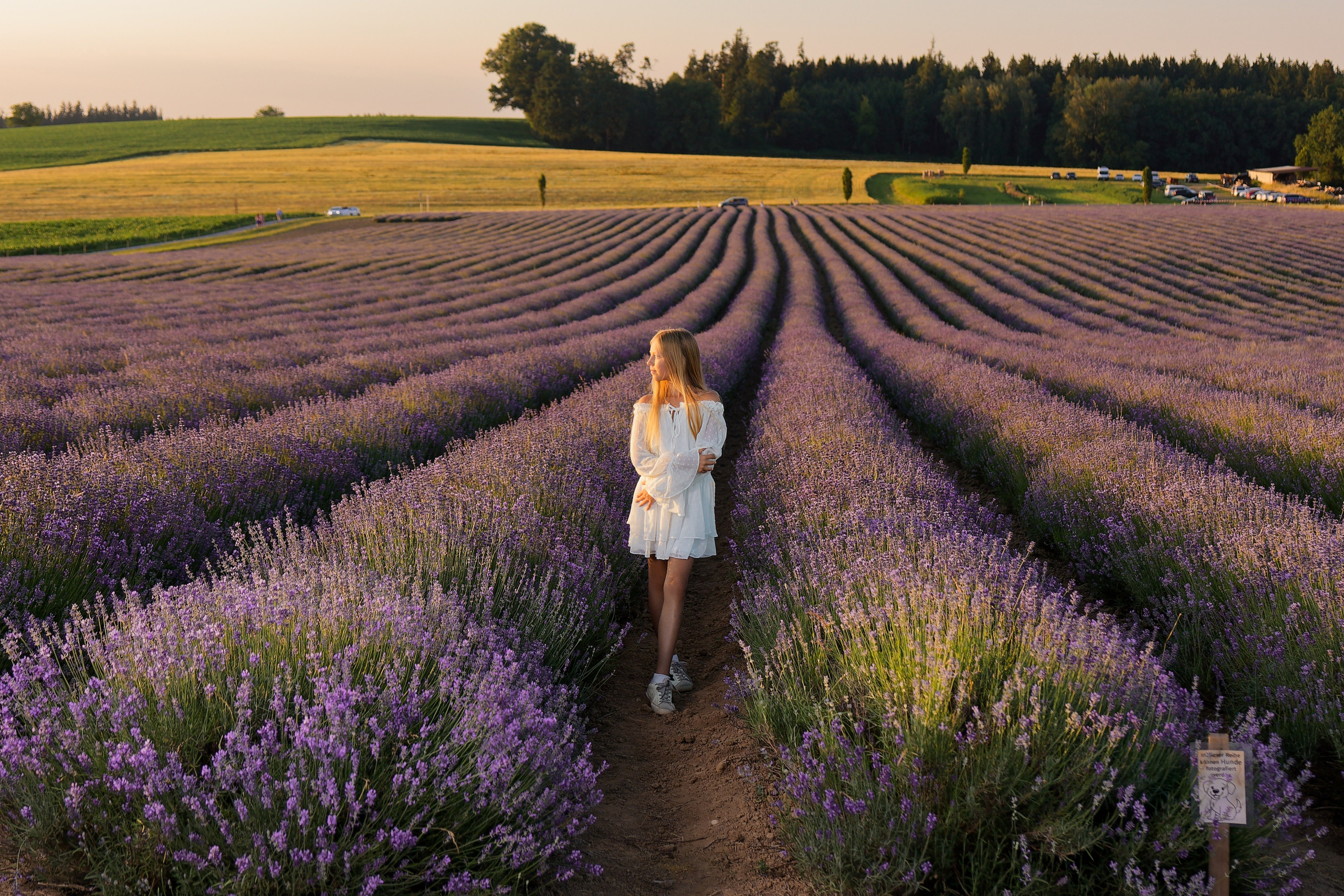 Lavander fild. ADELINA. Wedding and reportage photographer in Munich, Regensburg, Bavaria & all across Germany — LORAN Media