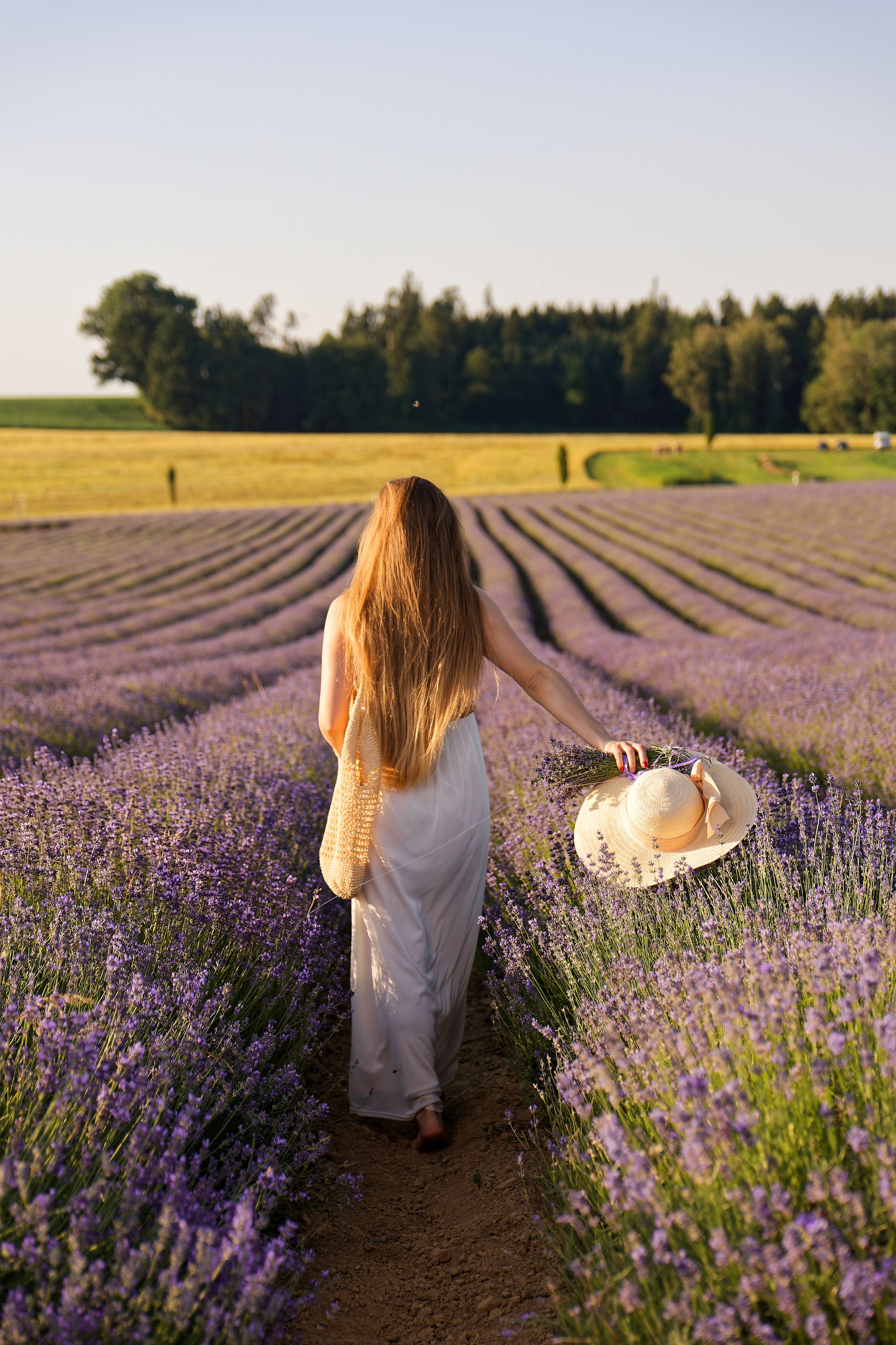 Lavander fild. Wedding and reportage photographer in Munich, Regensburg, Bavaria & all across Germany — LORAN Media