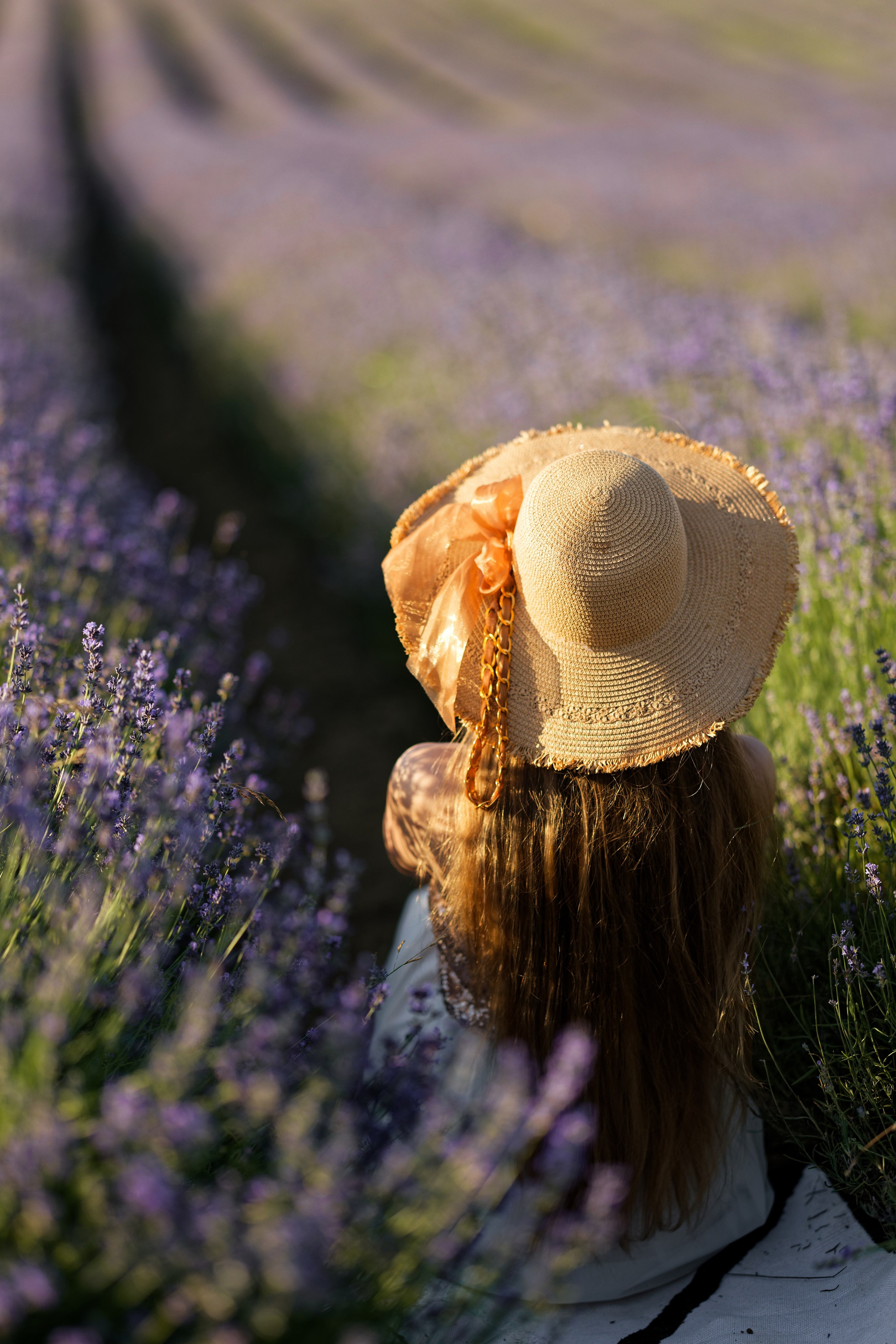 Lavander fild. Wedding and reportage photographer in Munich, Regensburg, Bavaria & all across Germany — LORAN Media