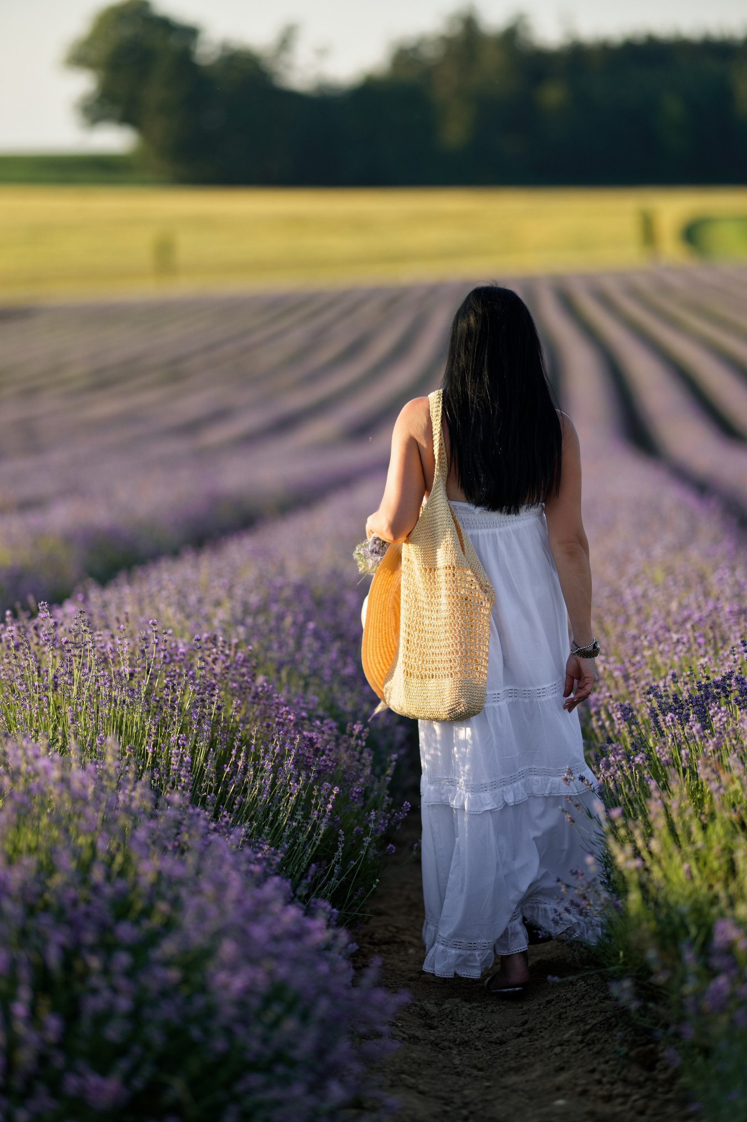Lavander fild. Wedding and reportage photographer in Munich, Regensburg, Bavaria & all across Germany — LORAN Media
