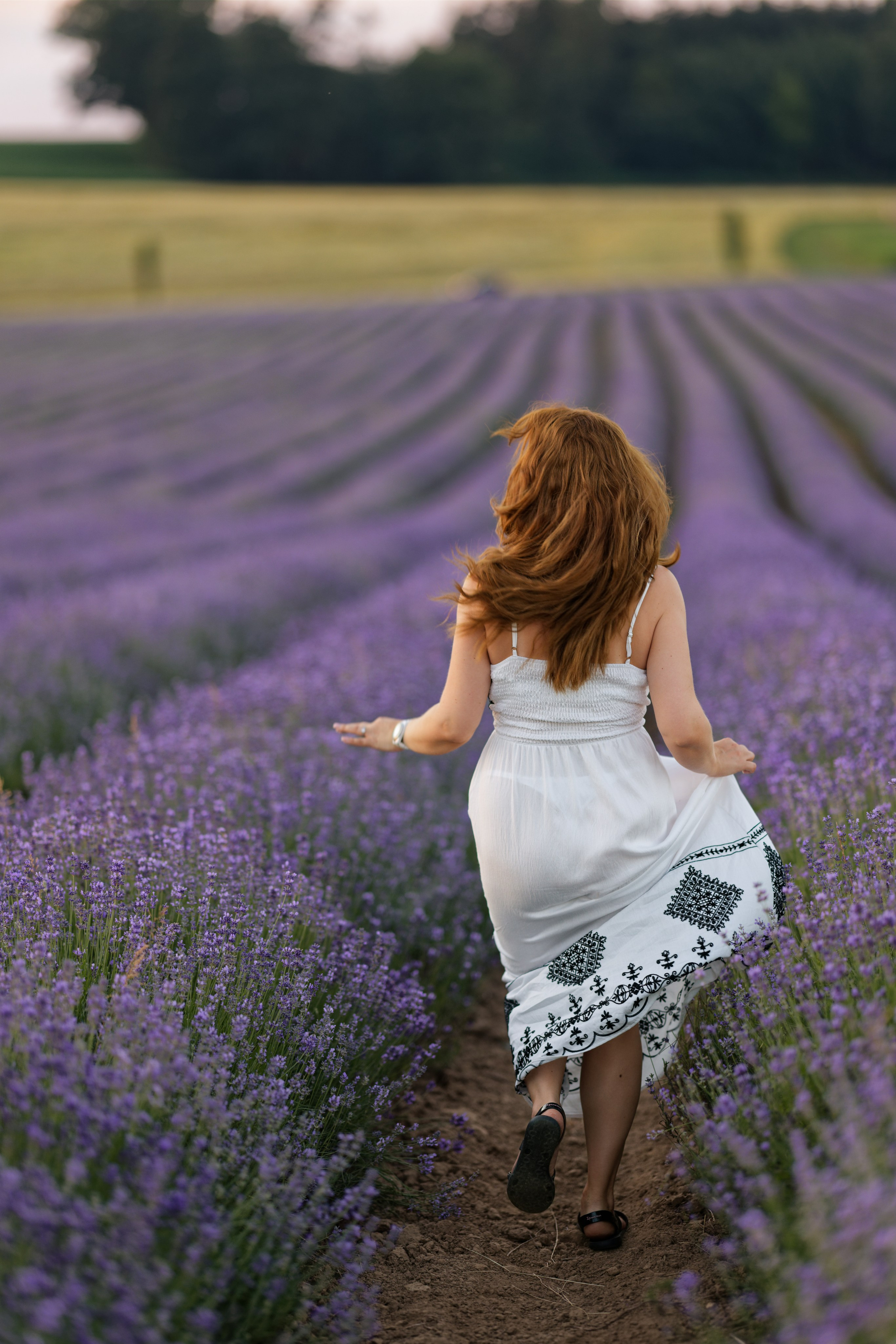 Lavander fild. Wedding and reportage photographer in Munich, Regensburg, Bavaria & all across Germany — LORAN Media
