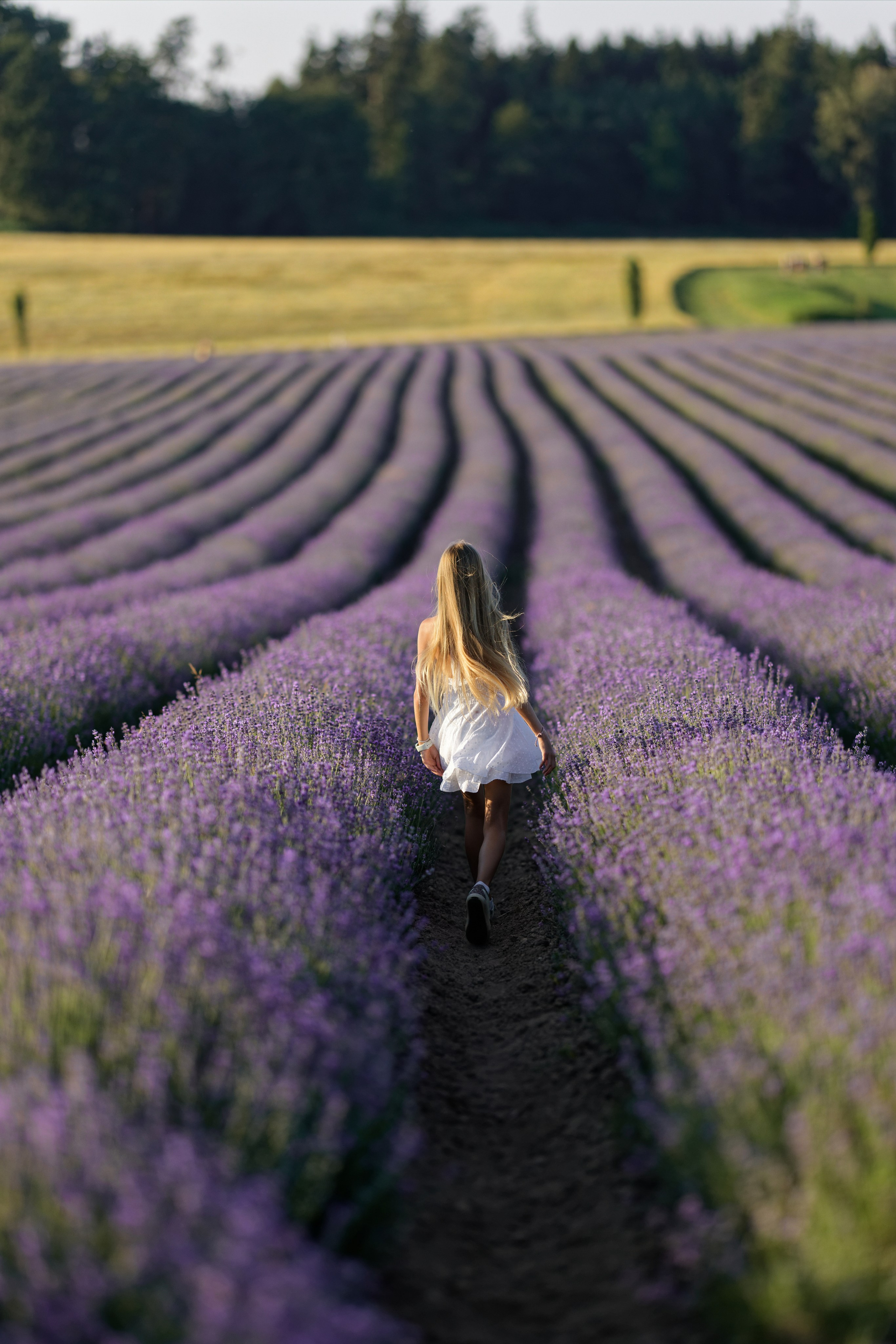 Lavander fild. ADELINA. Wedding and reportage photographer in Munich, Regensburg, Bavaria & all across Germany — LORAN Media
