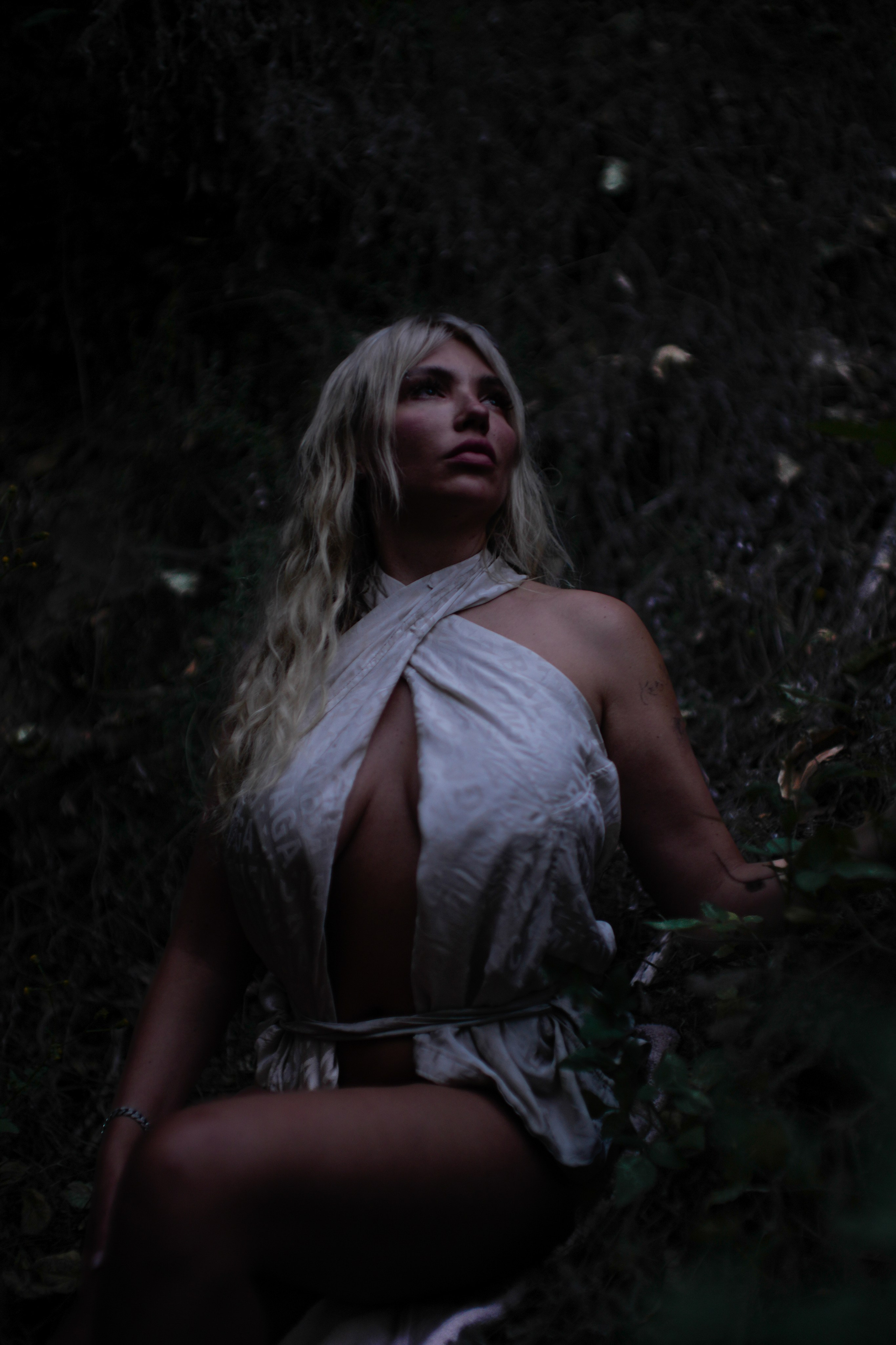 Mysterious forest (CA). Photographer New York / Los Angeles