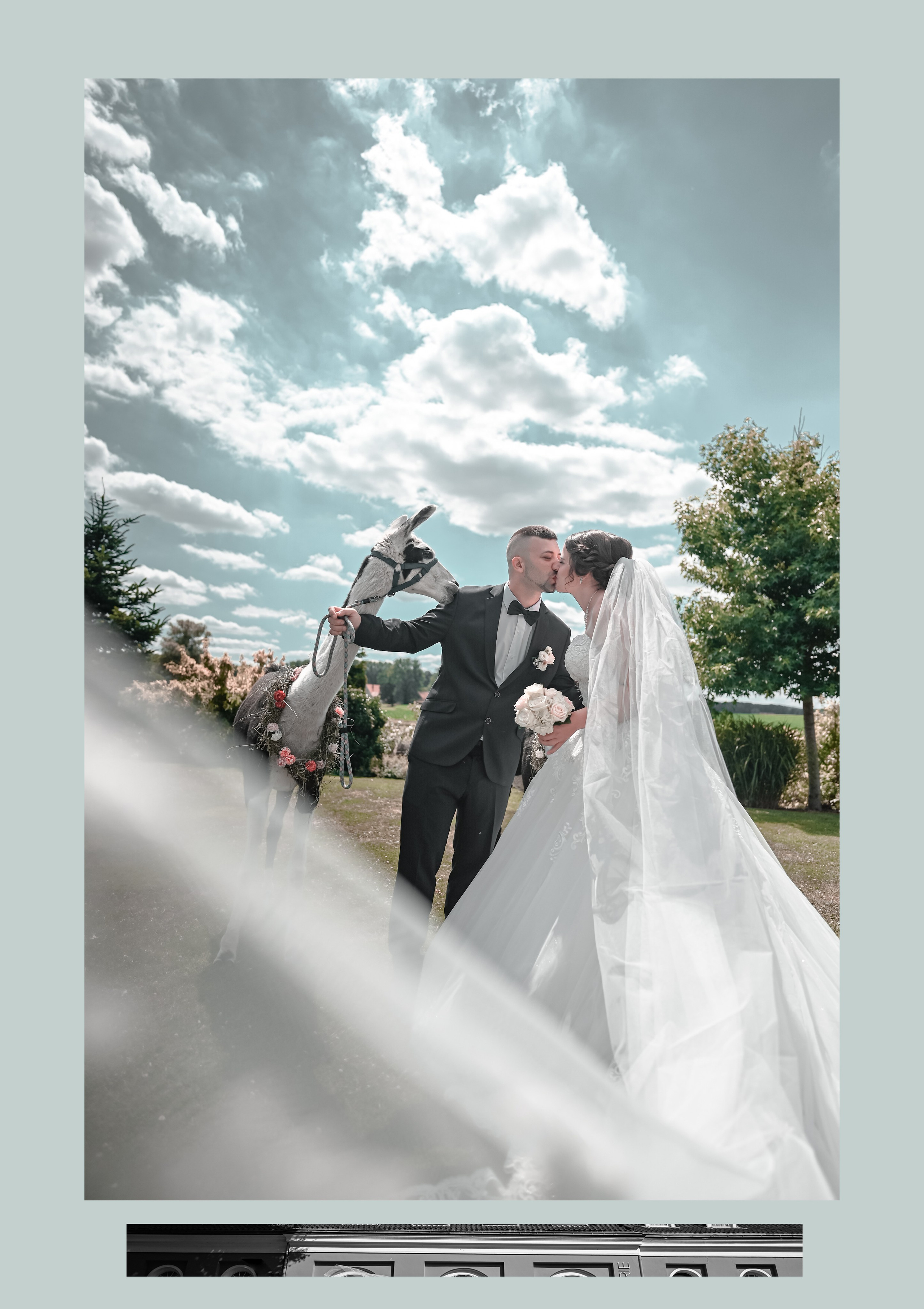 PHOTO. Video & Photo Service