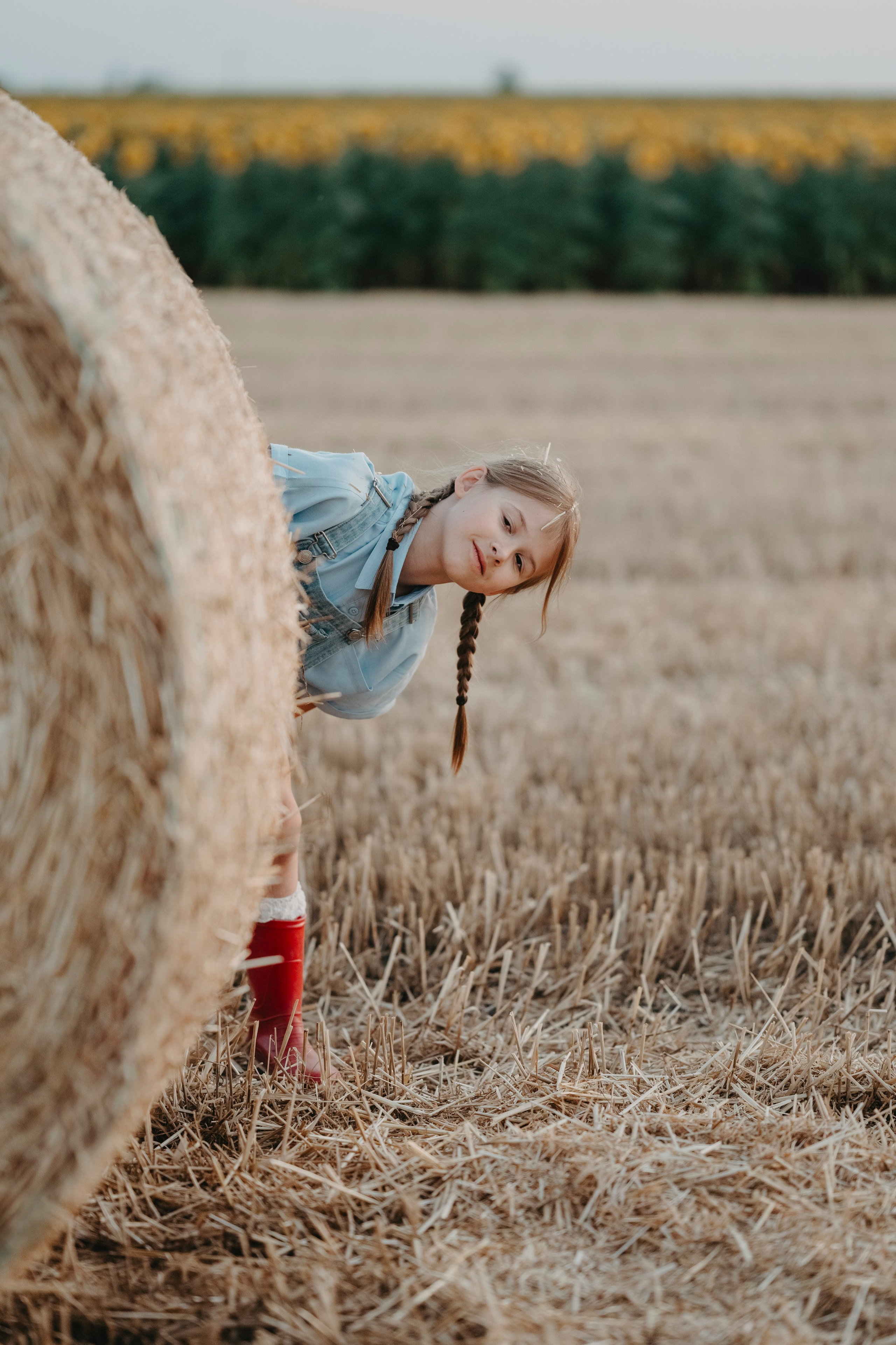 Letnje fotografisanje u polju suncokreta i sena. Deciji i porodicni fotograf u Beogradu Oksana Skendzic