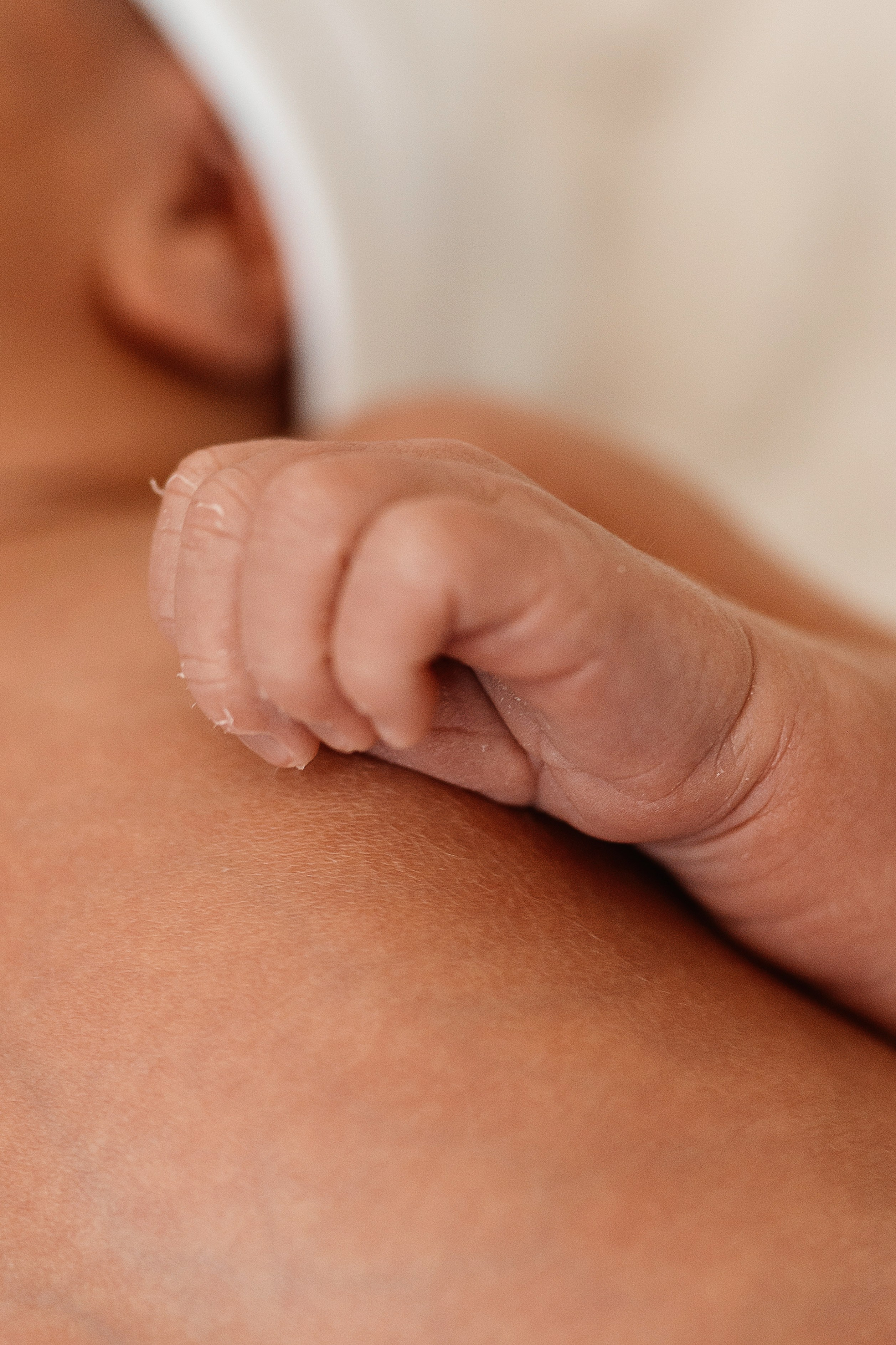 Vaniușa | primele zile de viață. Home