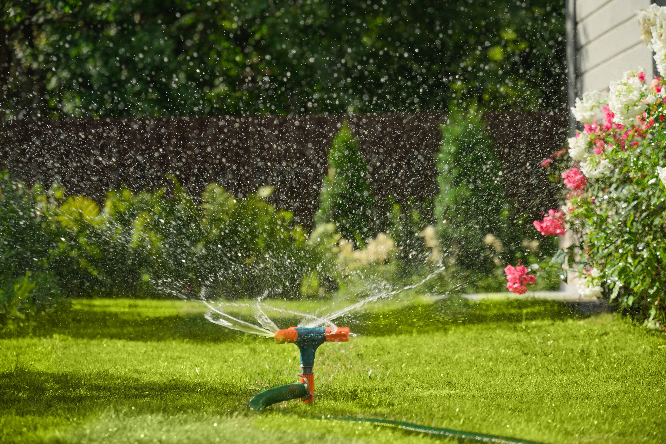 Aqua Nucifera | Φίλτρα Νερού Καρύδας & Έξυπνη Άρδευση