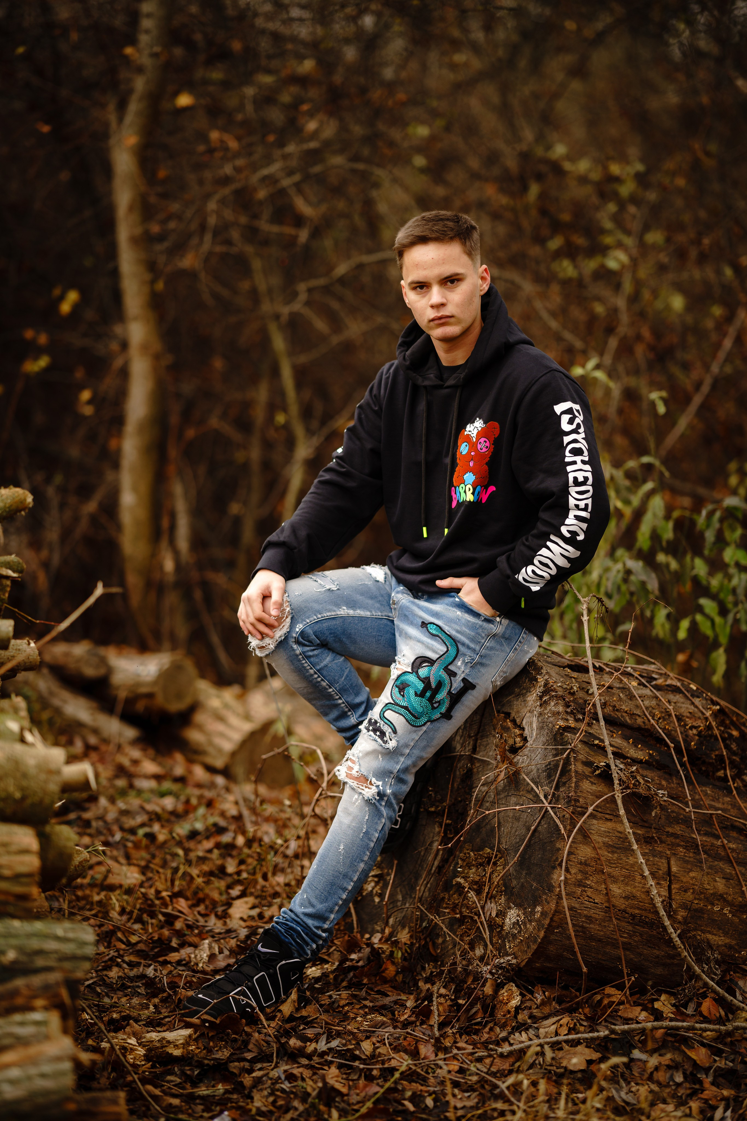 Padurea Ceala Gratuit. Trendy Albums