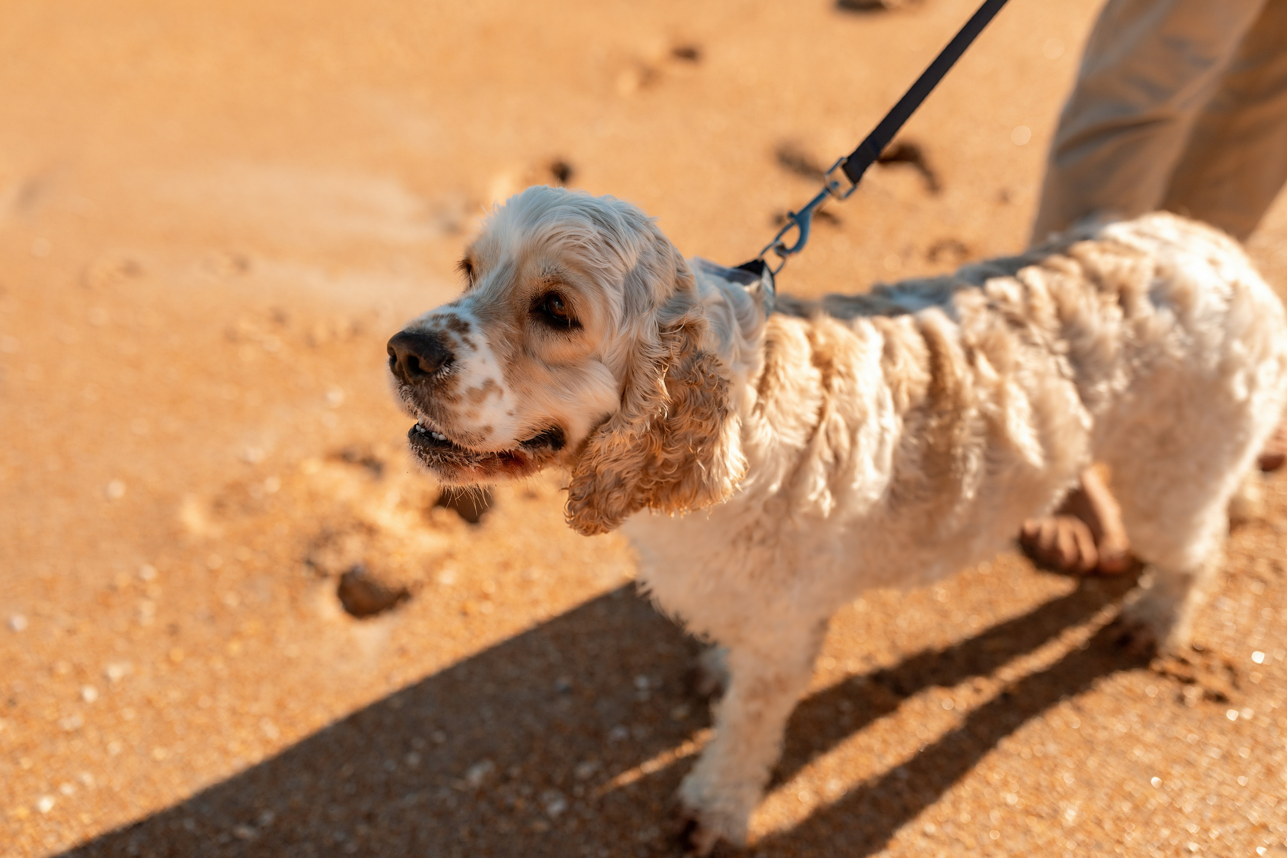 Jacksonville Session. Family and Event photographer in Homestead and Miami areas of Florida