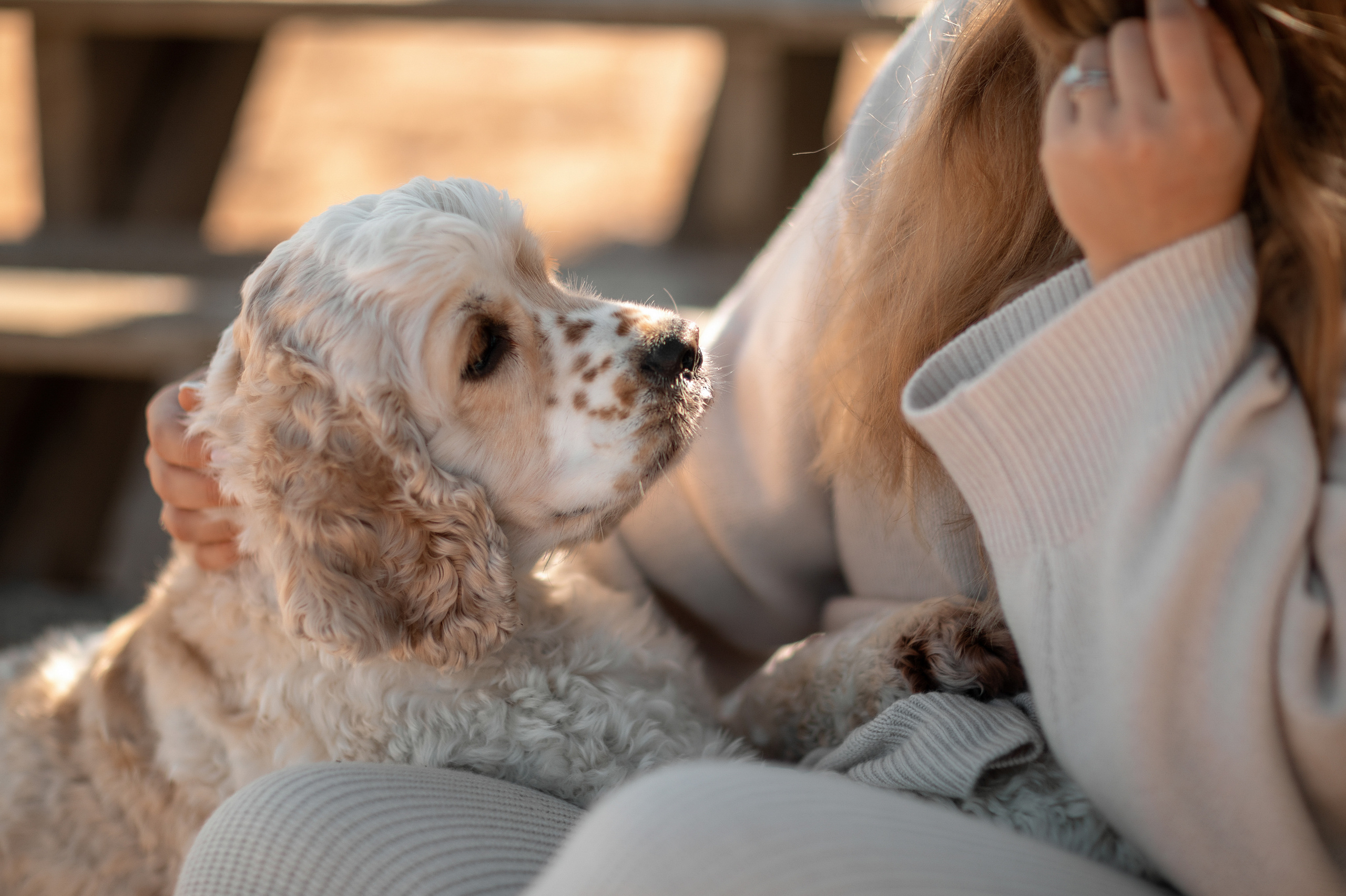 Jacksonville Session. Family and Event photographer in Homestead and Miami areas of Florida