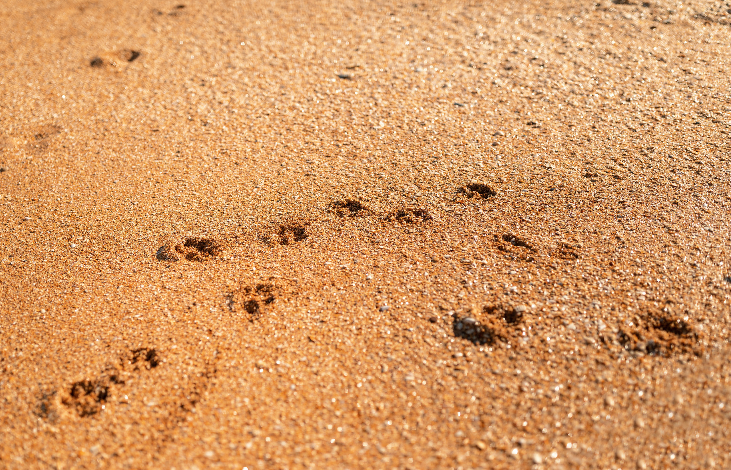 Jacksonville Session. Family and Event photographer in Homestead and Miami areas of Florida