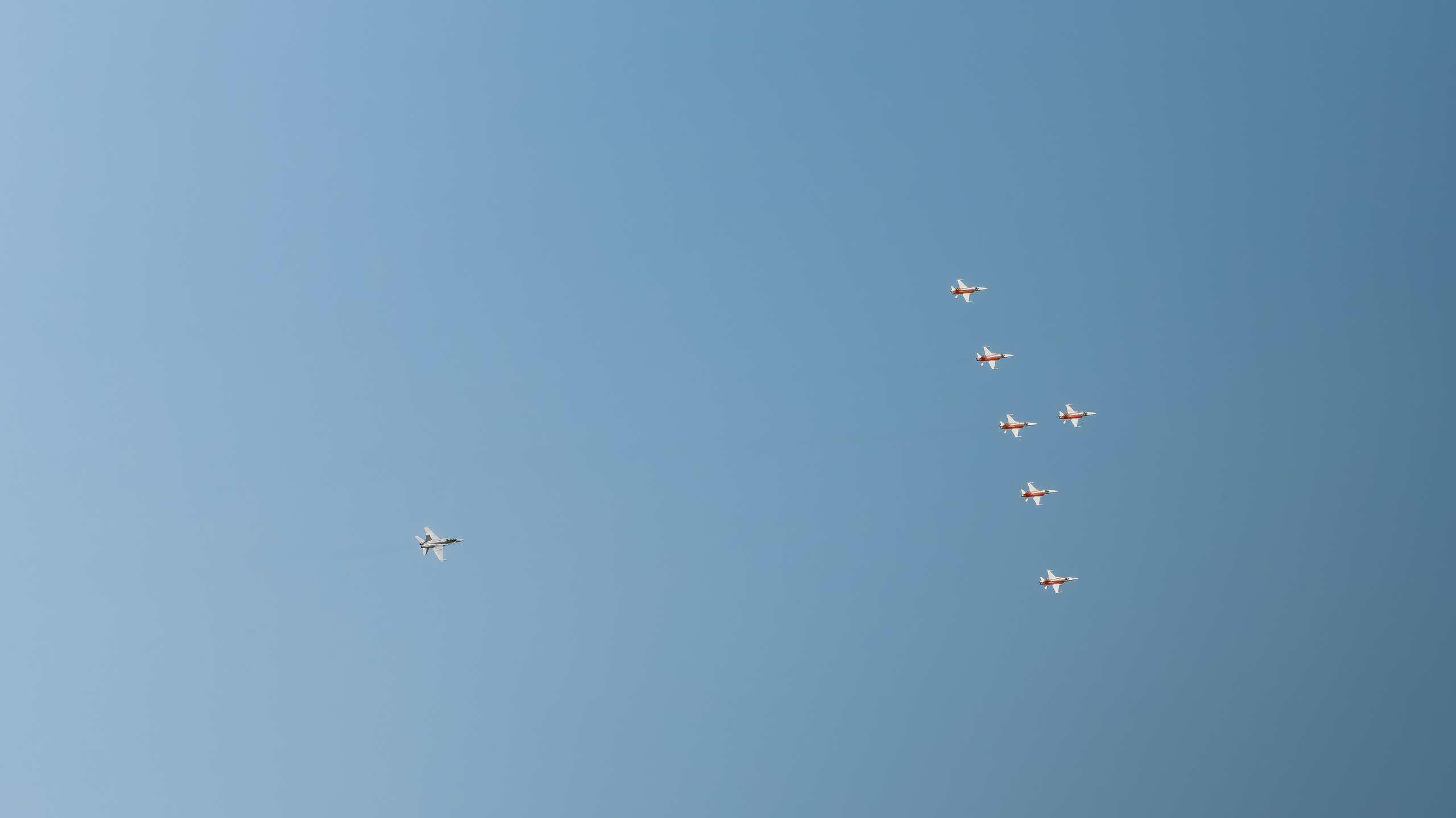 Wings and Frends · Grenchen 2026. Lutsenko Visuals — Photography & Visual Content