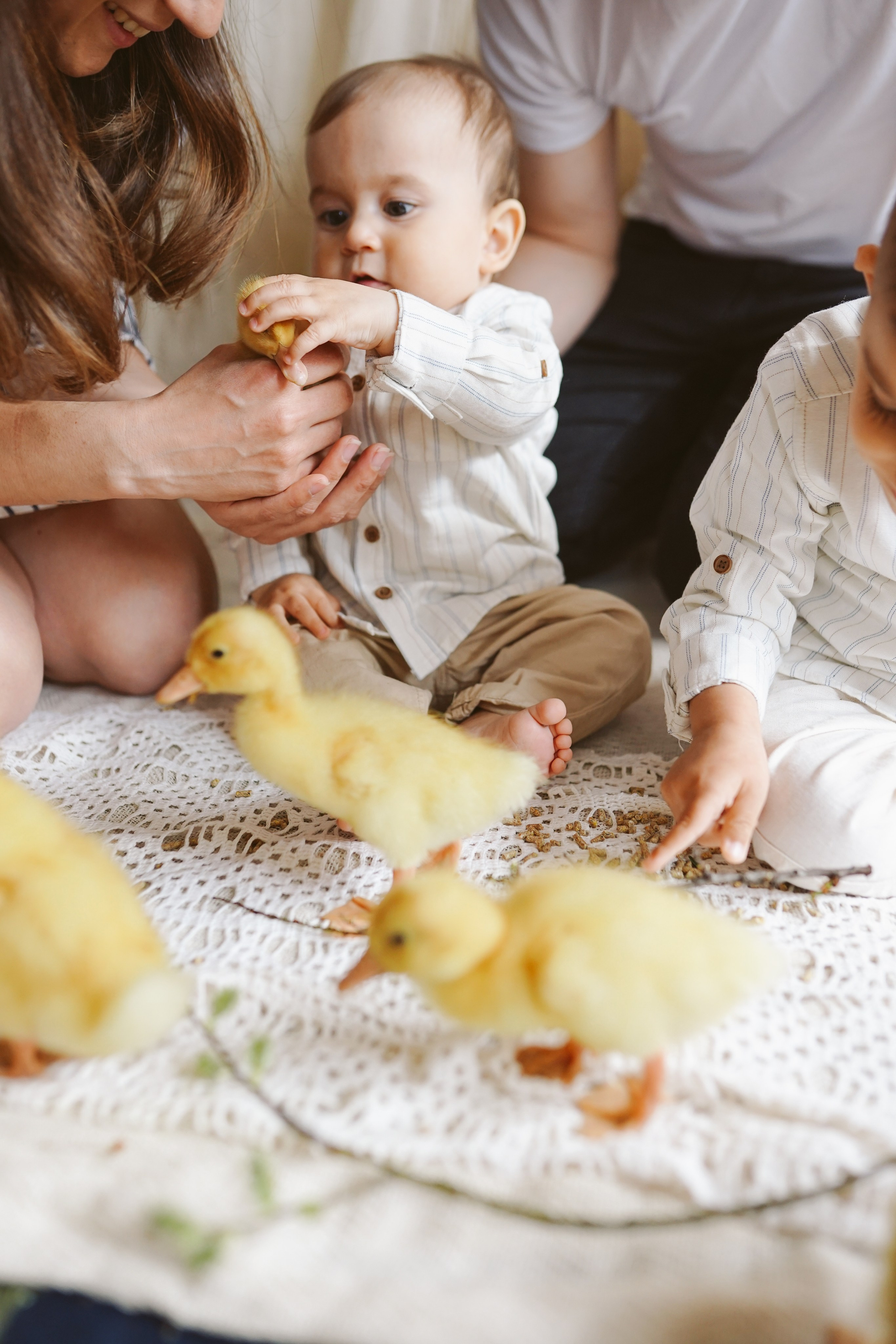 Ședințe Foto de Paște Brașov: Gălbenuș | Mădălina Beda. Madalina Beda- Artist vizual, fotograf, doula la nastere, consultant babywearing Brasov si in toata tara