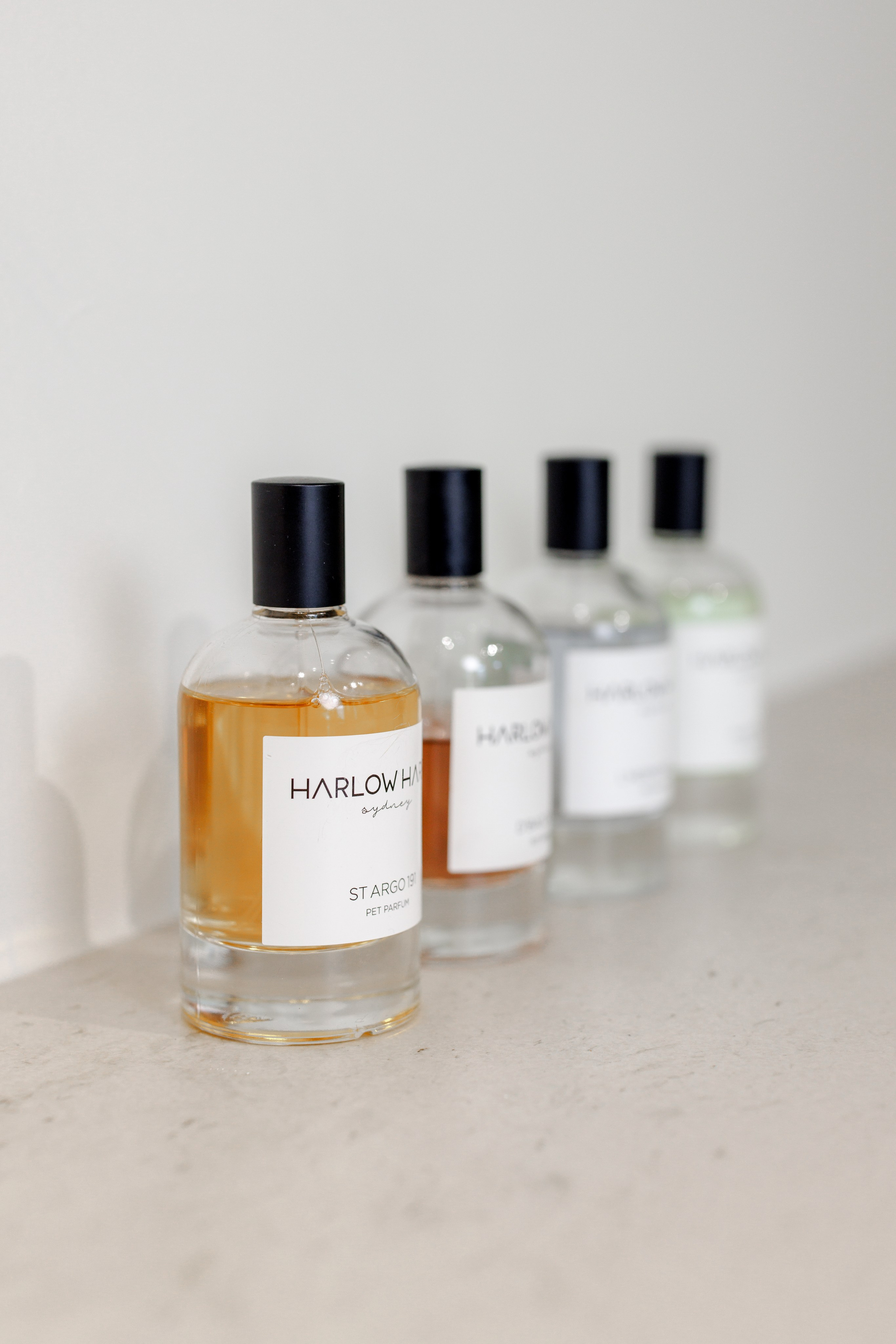 Bark & Bones. Familien- & Hochzeitsfotografin Schweiz. Valeria Diaz in Zürich und Umgebung