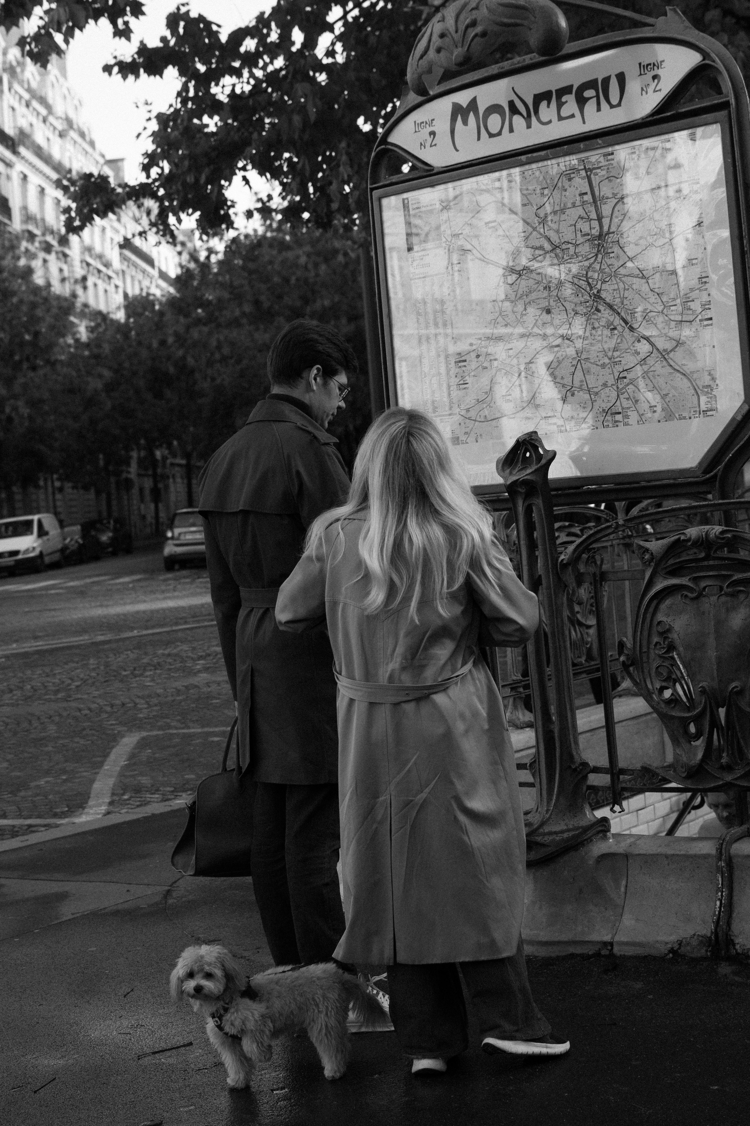 Barney, Nastya et Kolya. Photographe animalier à Paris Anna Pereira