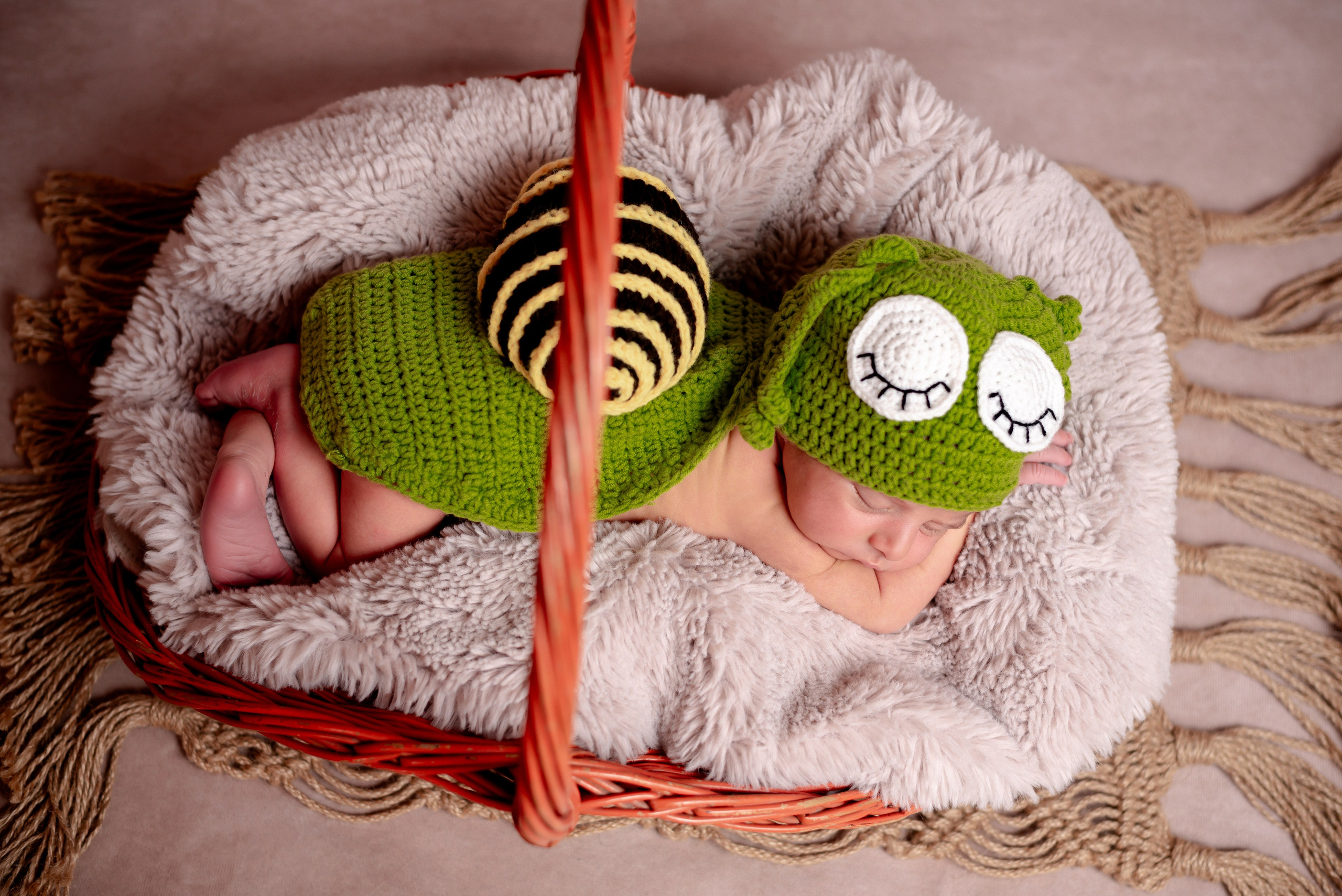 Newborn Photoshoot. Professional Photograher, Antwerpen/Belgium