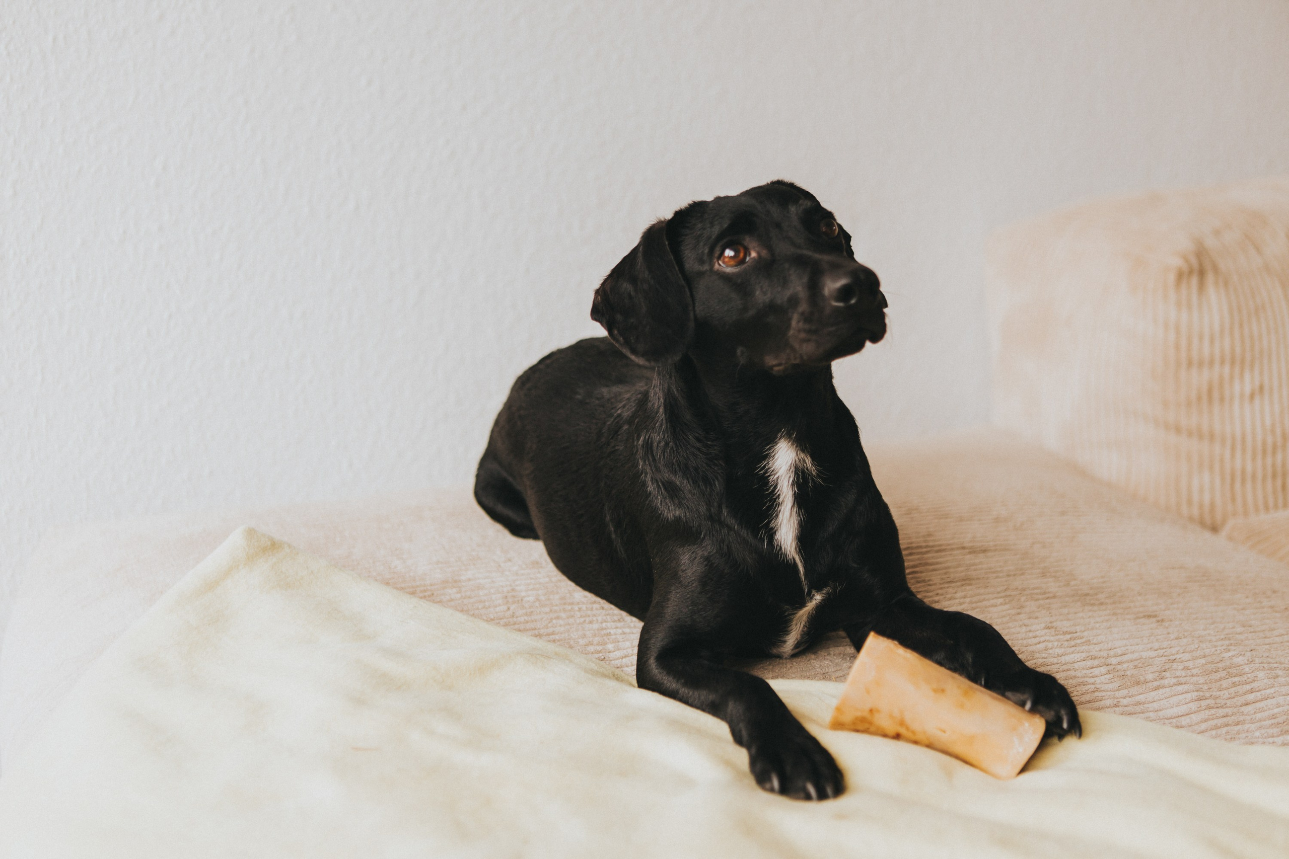 A&F. Hochzeitsfotograf Hamburg Evgenia Voss