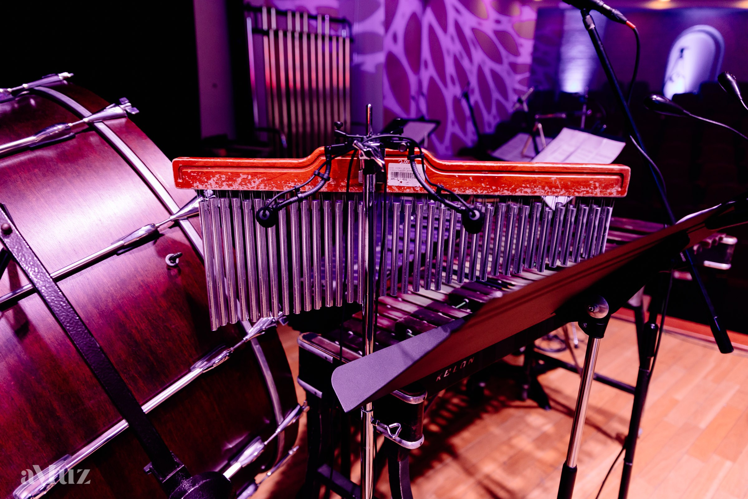 Koncert Amuz.pl. Fotograf Ślubny Warszawa - Sesje Biznesowe Rodzinne Eventy