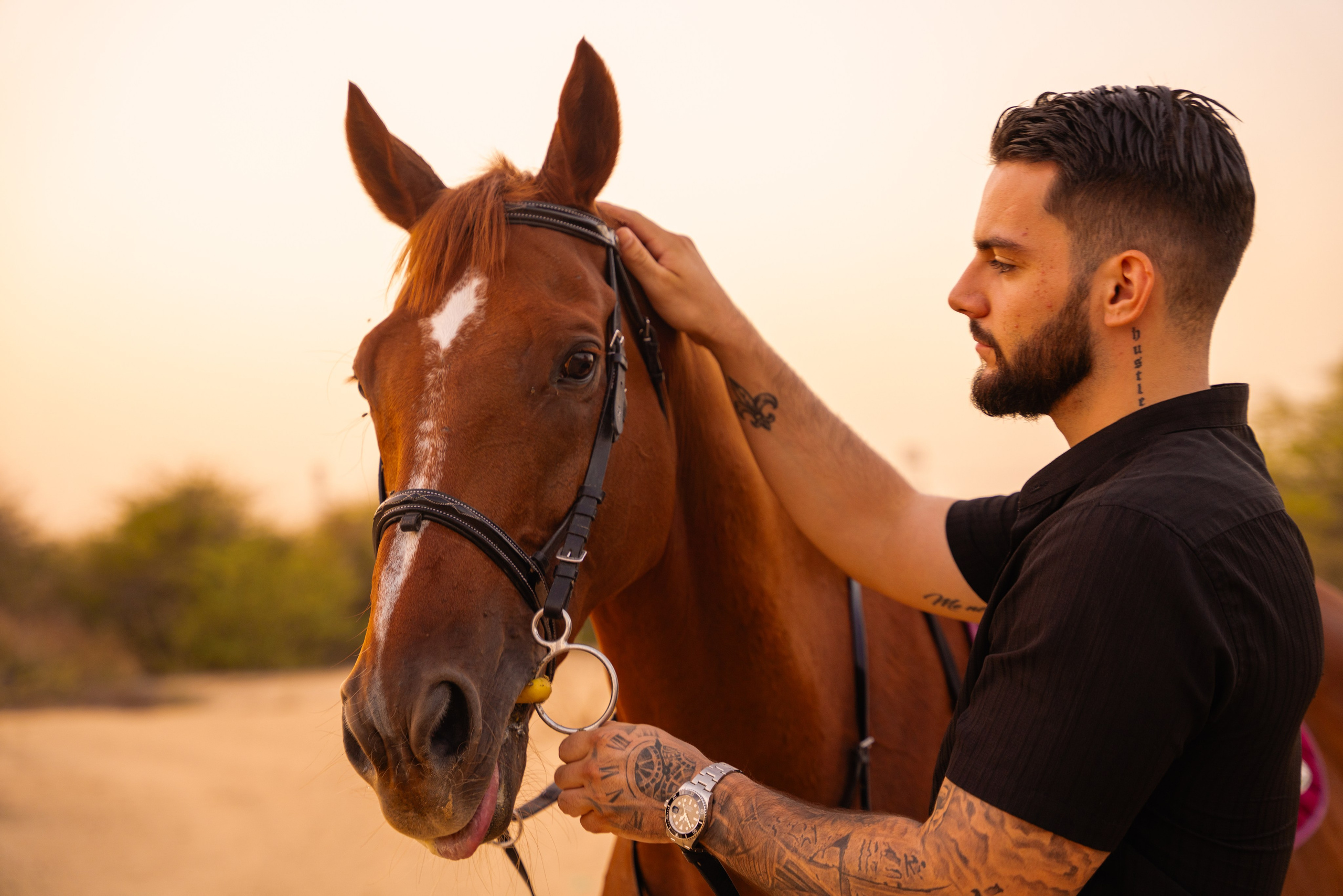 With horses and camels. Photographer in Dubai | Dmitriy Gromov — Photoshoots, Events & Luxury Photography