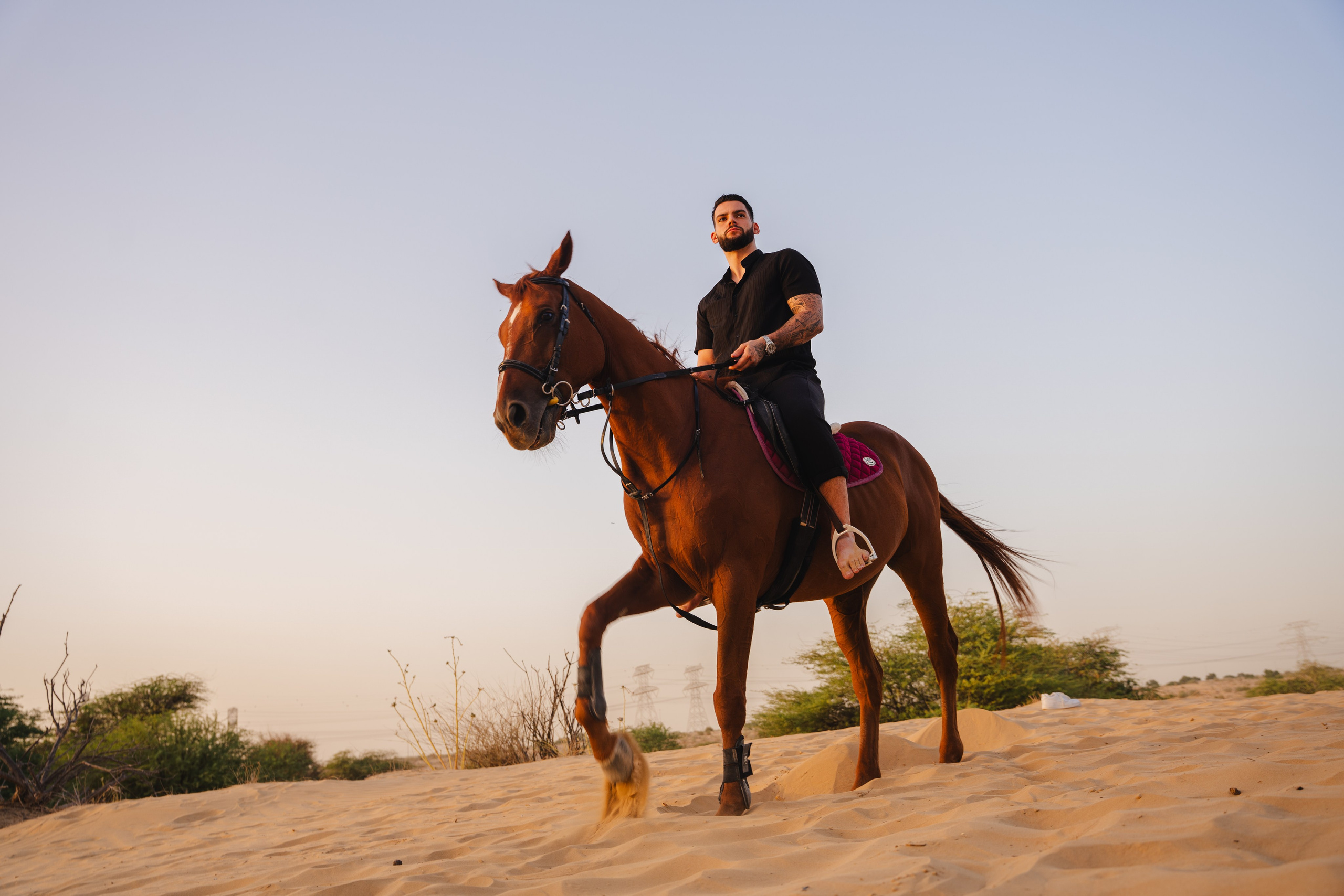 With horses and camels. Photographer in Dubai | Dmitriy Gromov — Photoshoots, Events & Luxury Photography