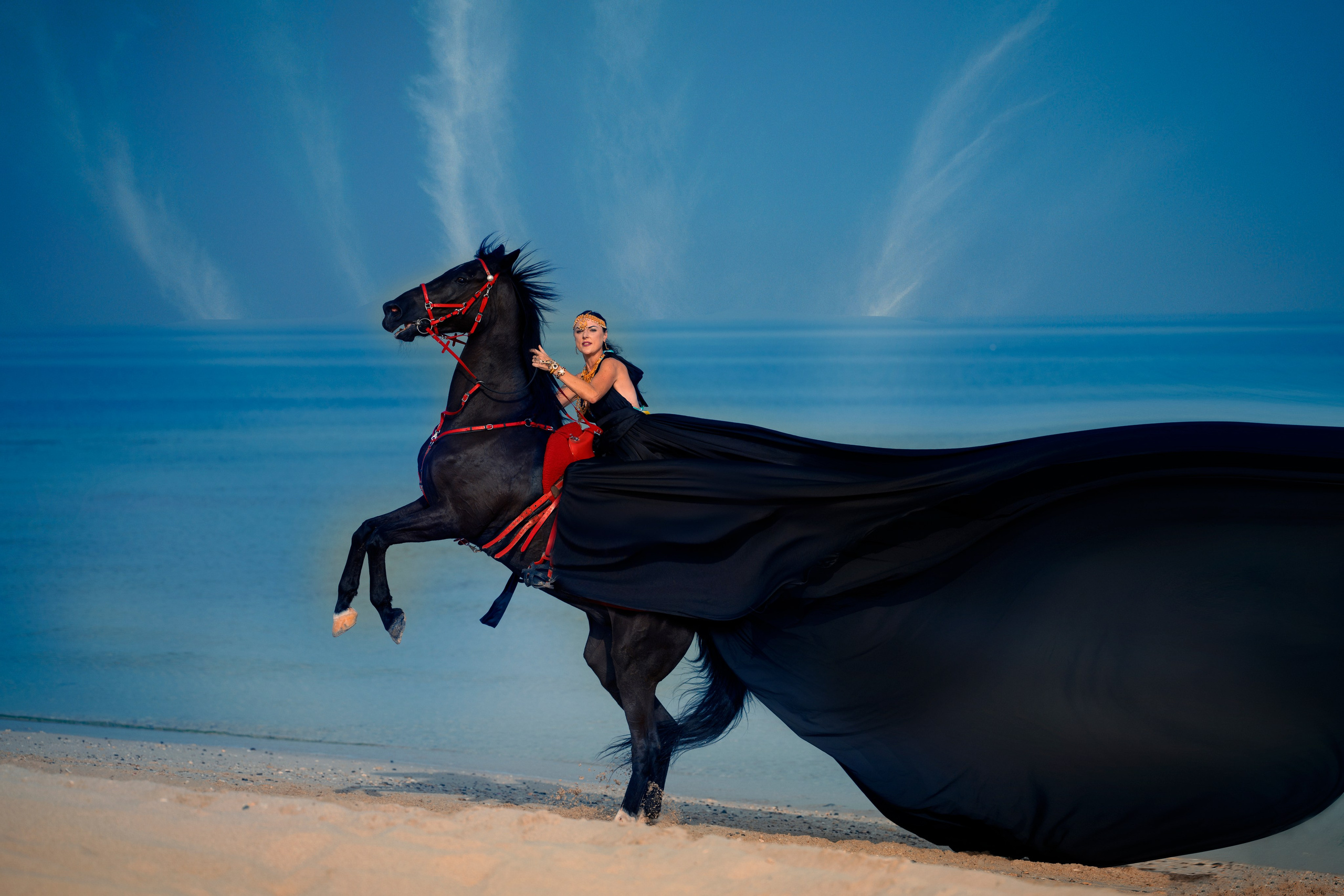 With horses and camels. Photographer in Dubai | Dmitriy Gromov — Photoshoots, Events & Luxury Photography