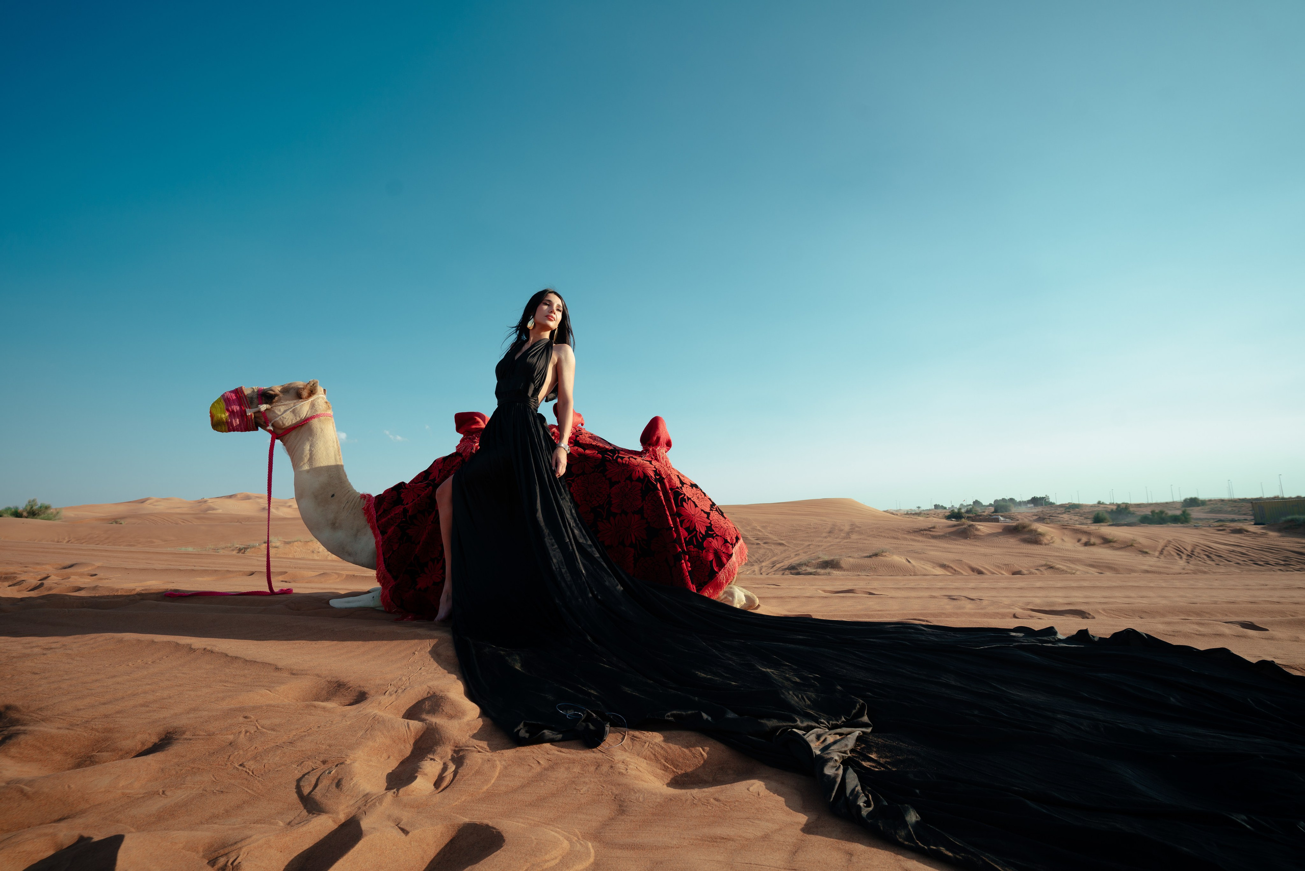 With horses and camels. Photographer in Dubai | Dmitriy Gromov — Photoshoots, Events & Luxury Photography