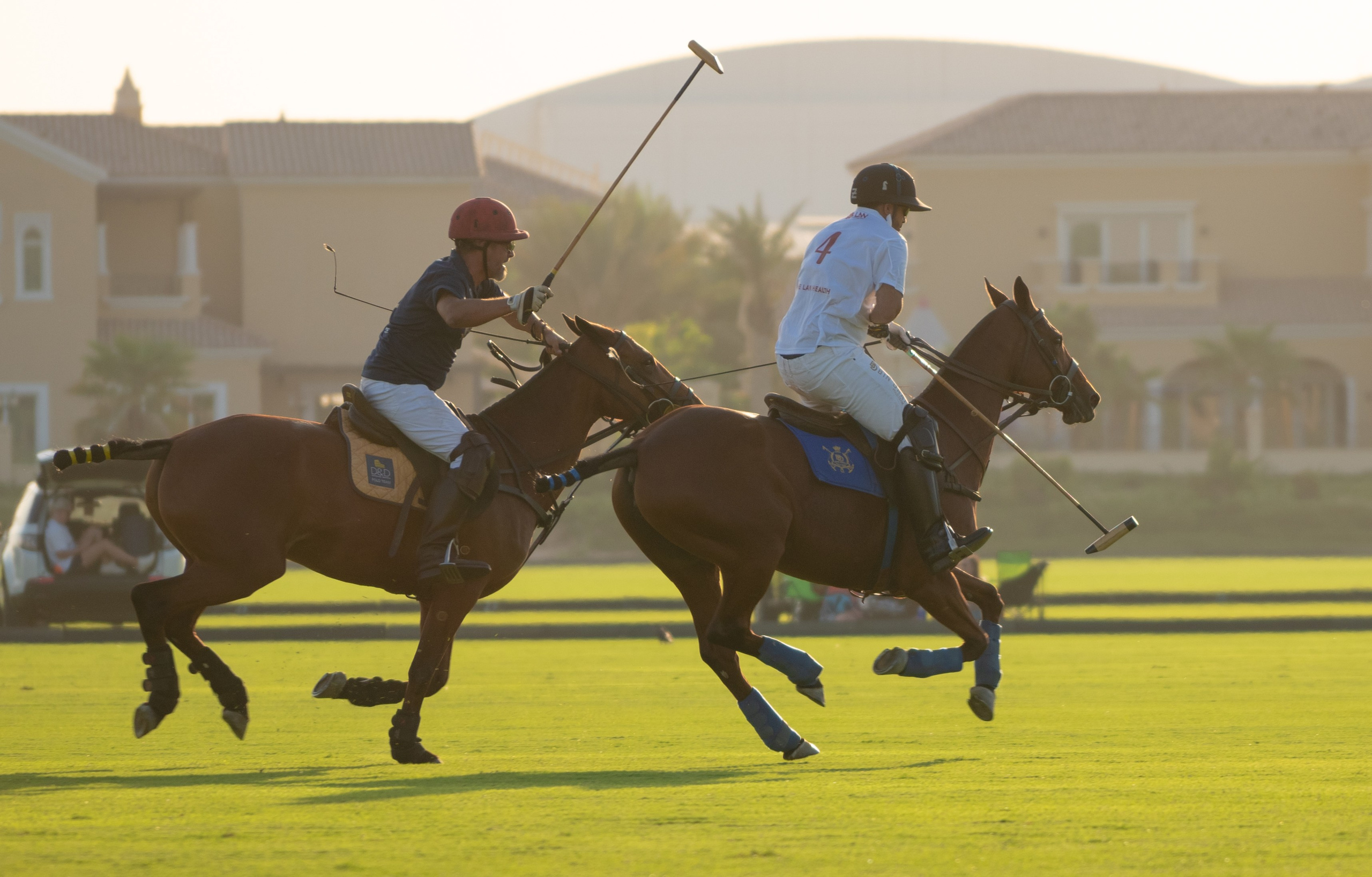 With horses and camels. Photographer in Dubai | Dmitriy Gromov — Photoshoots, Events & Luxury Photography